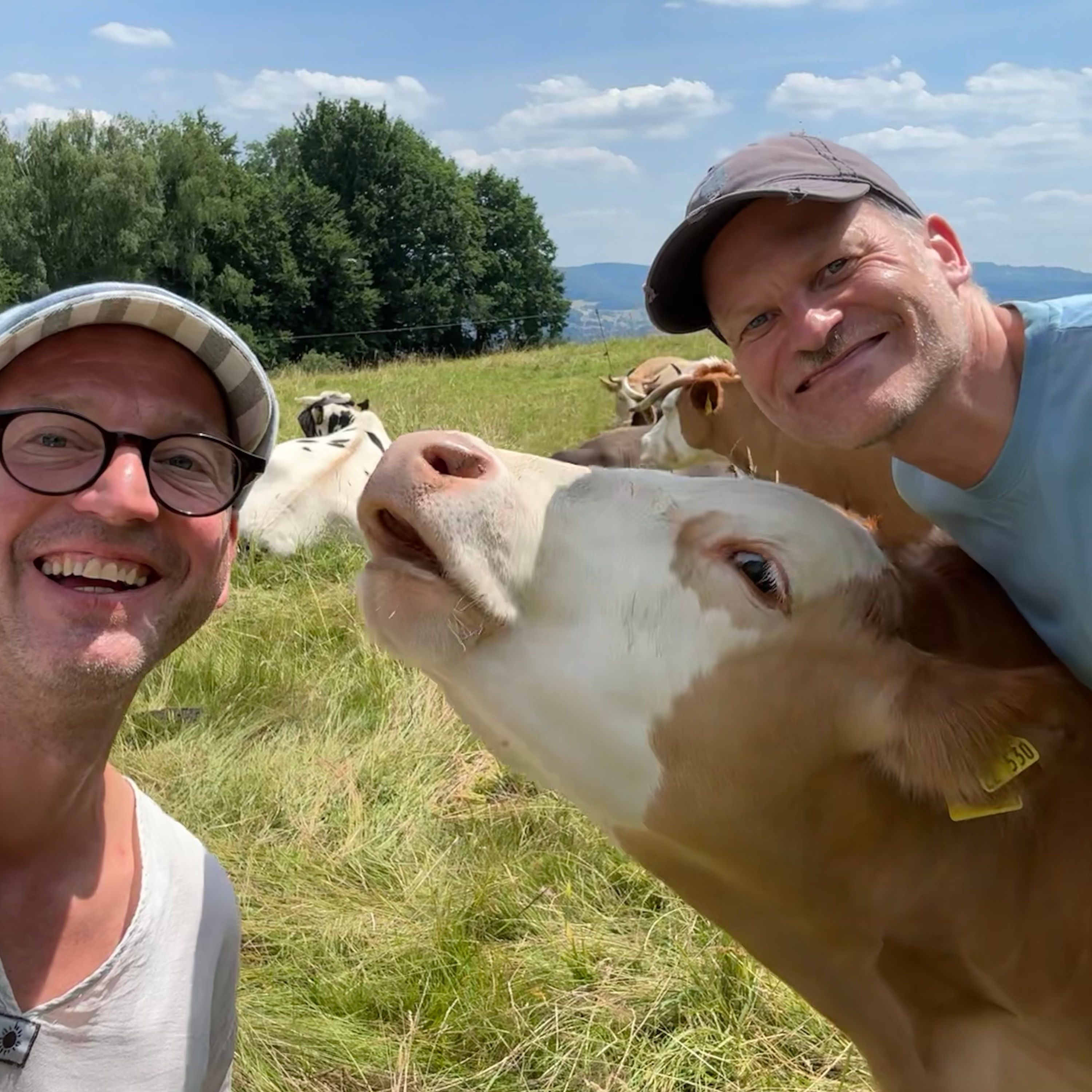 #85 Kühe kuscheln mit Moustache Farmer Joar Berge