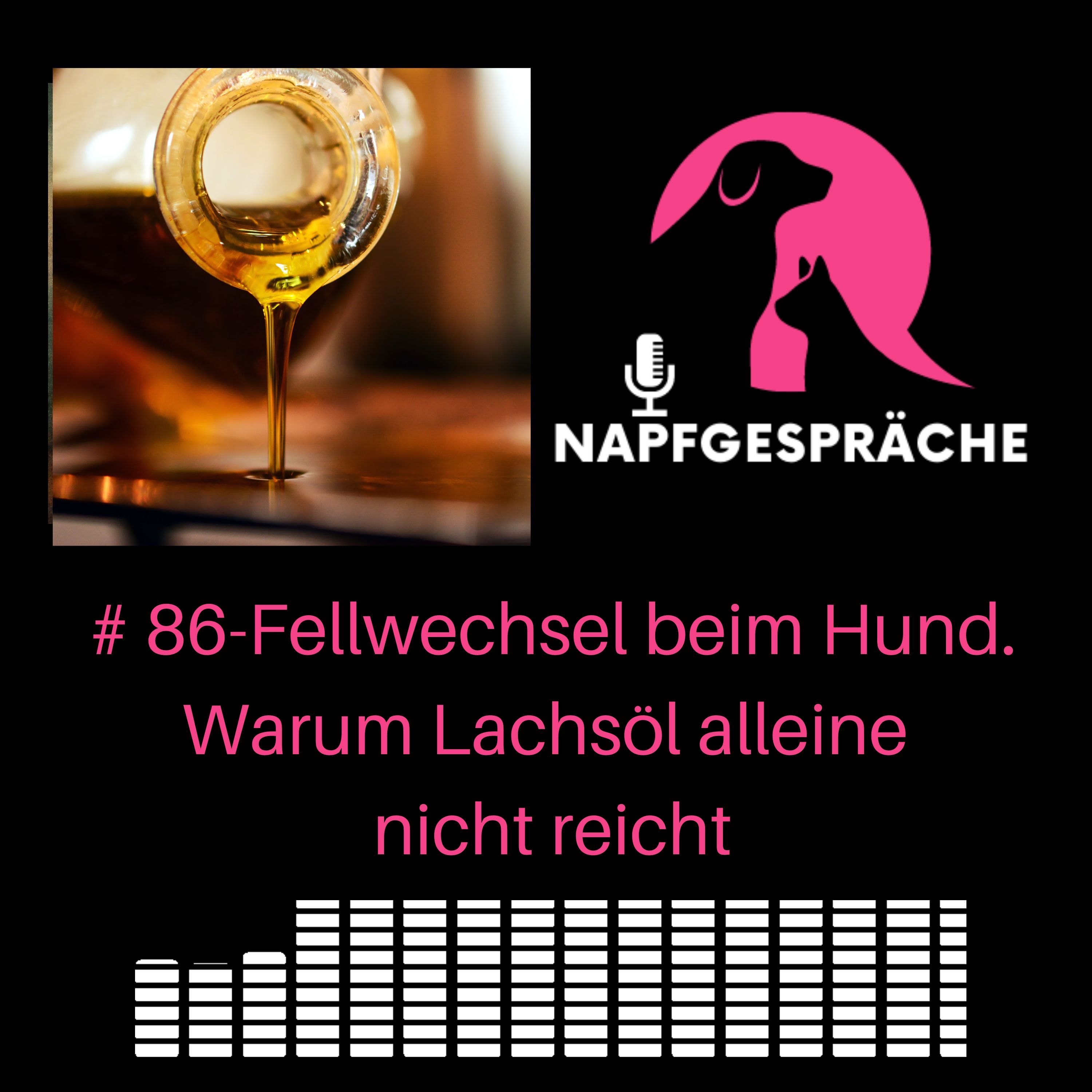 #86 - Fellwechsel beim Hund: Warum Lachsöl allein nicht reicht