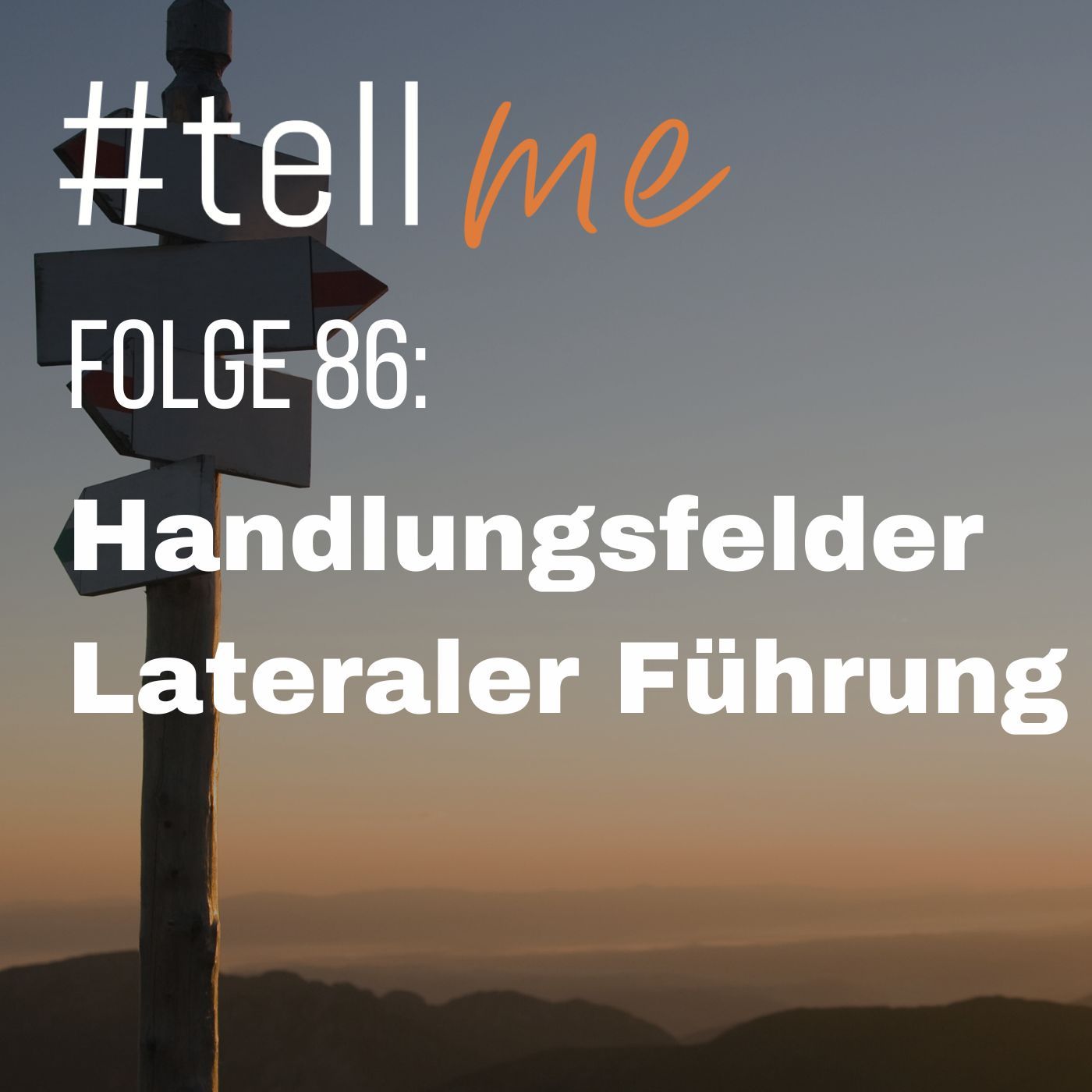 86_Laterale Führung