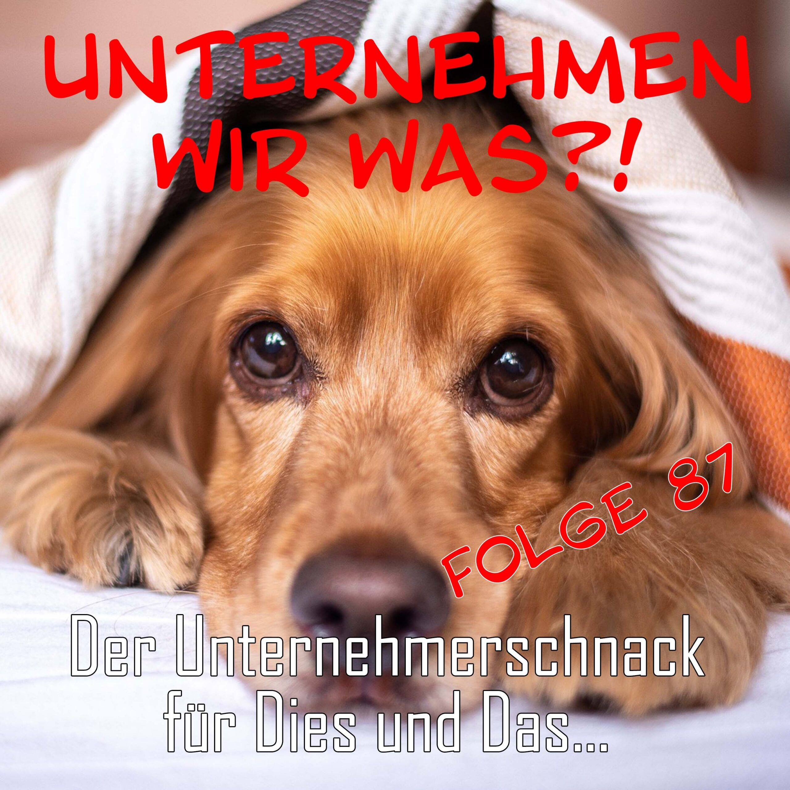 #87 Haustier bei Quelle gekauft