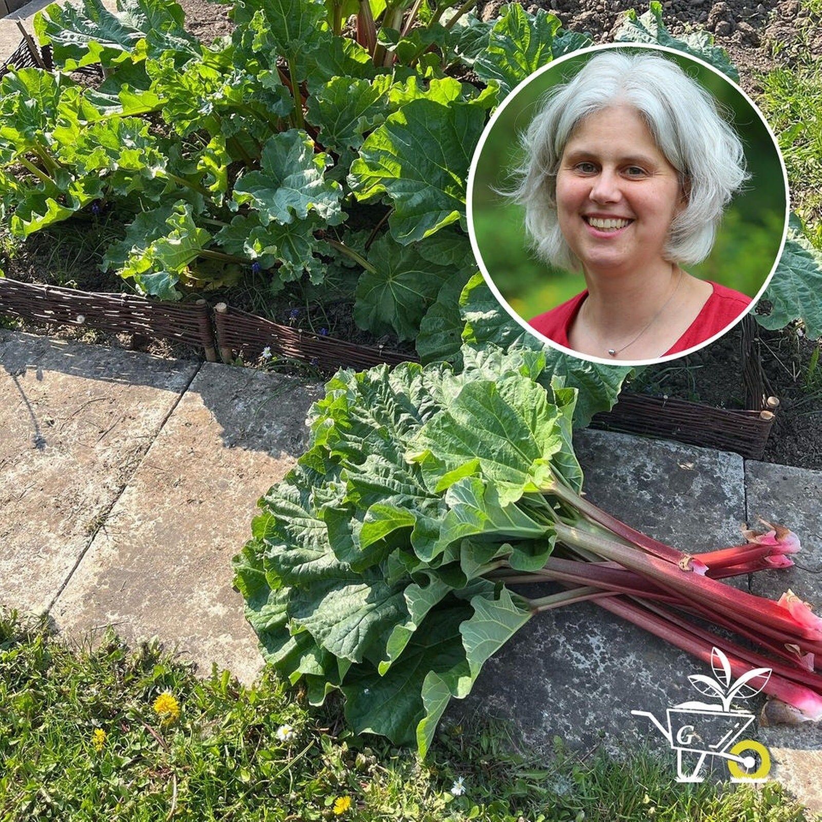 #87: Mehrjähriges Gemüse anbauen