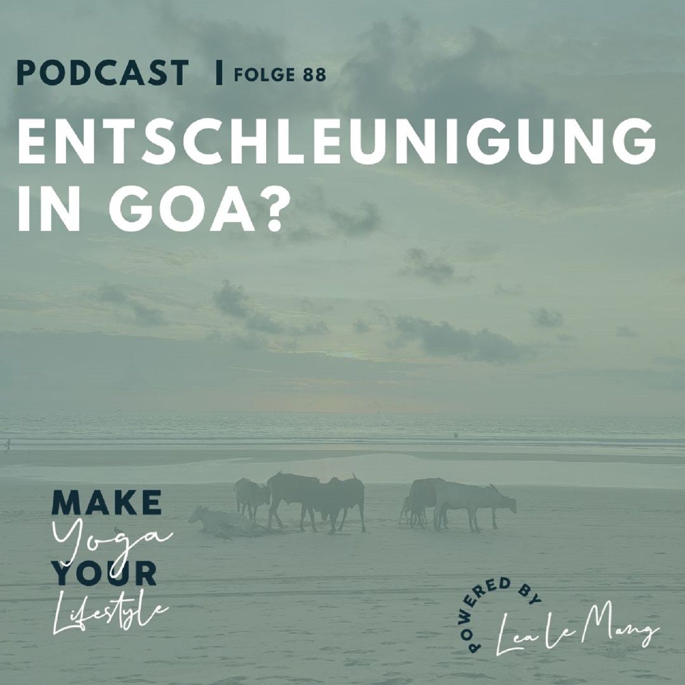 88 - Entschleunigung in Goa?