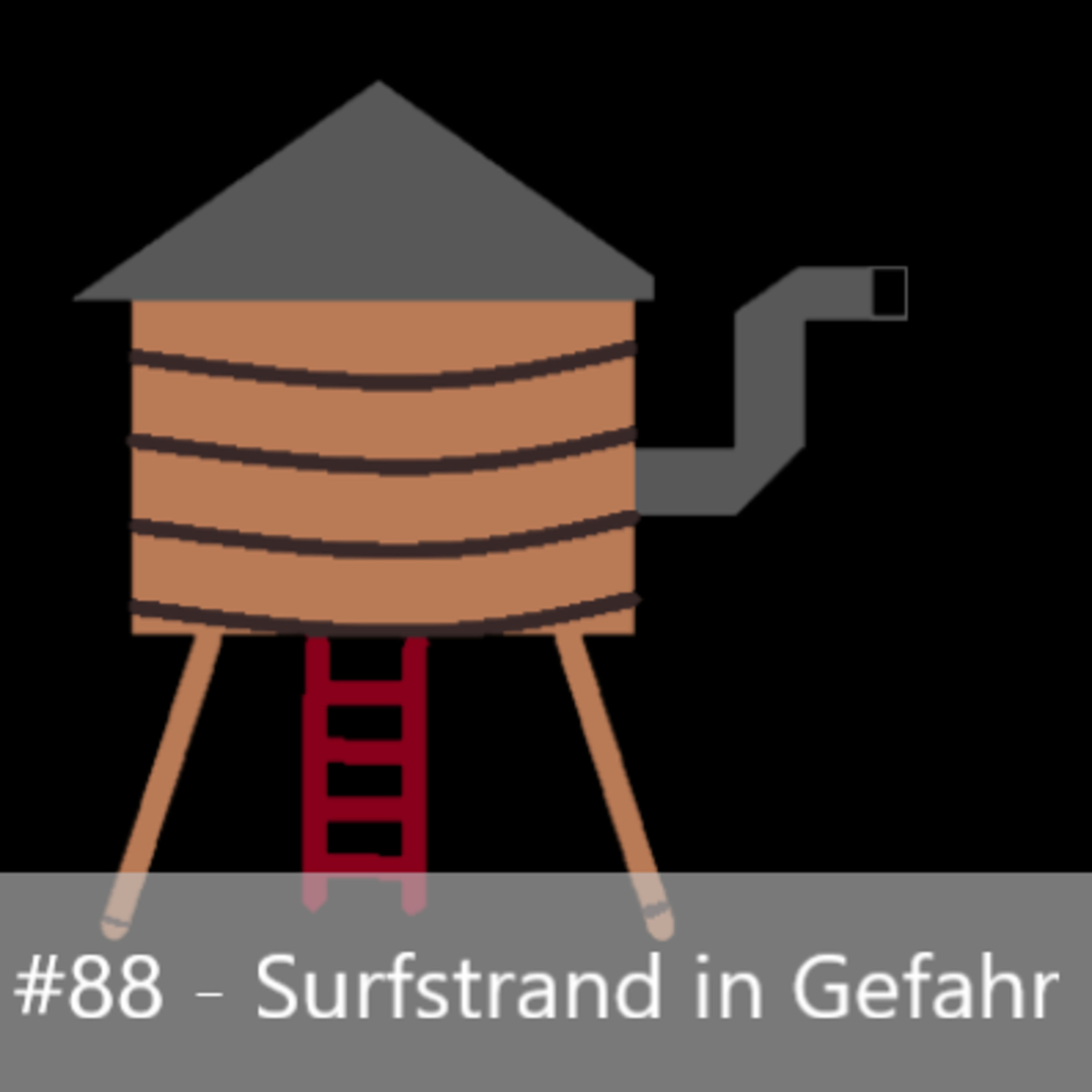 #88 - Surfstrand in Gefahr