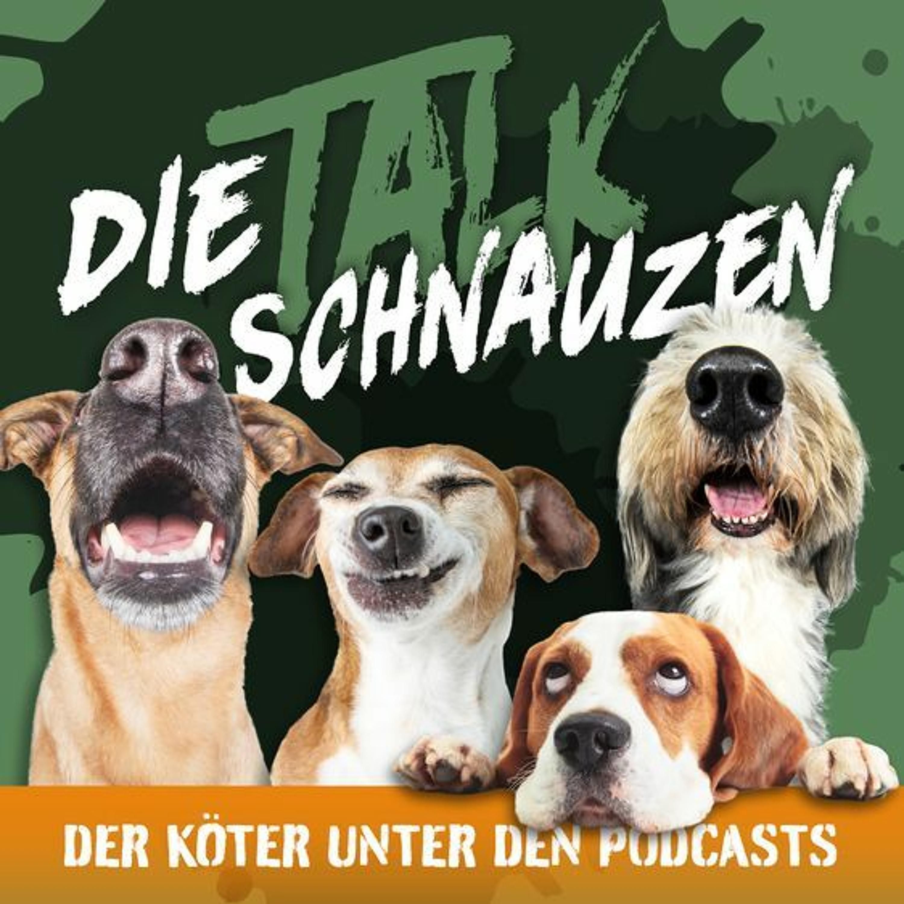 #89 Das hat Konsequenzen
