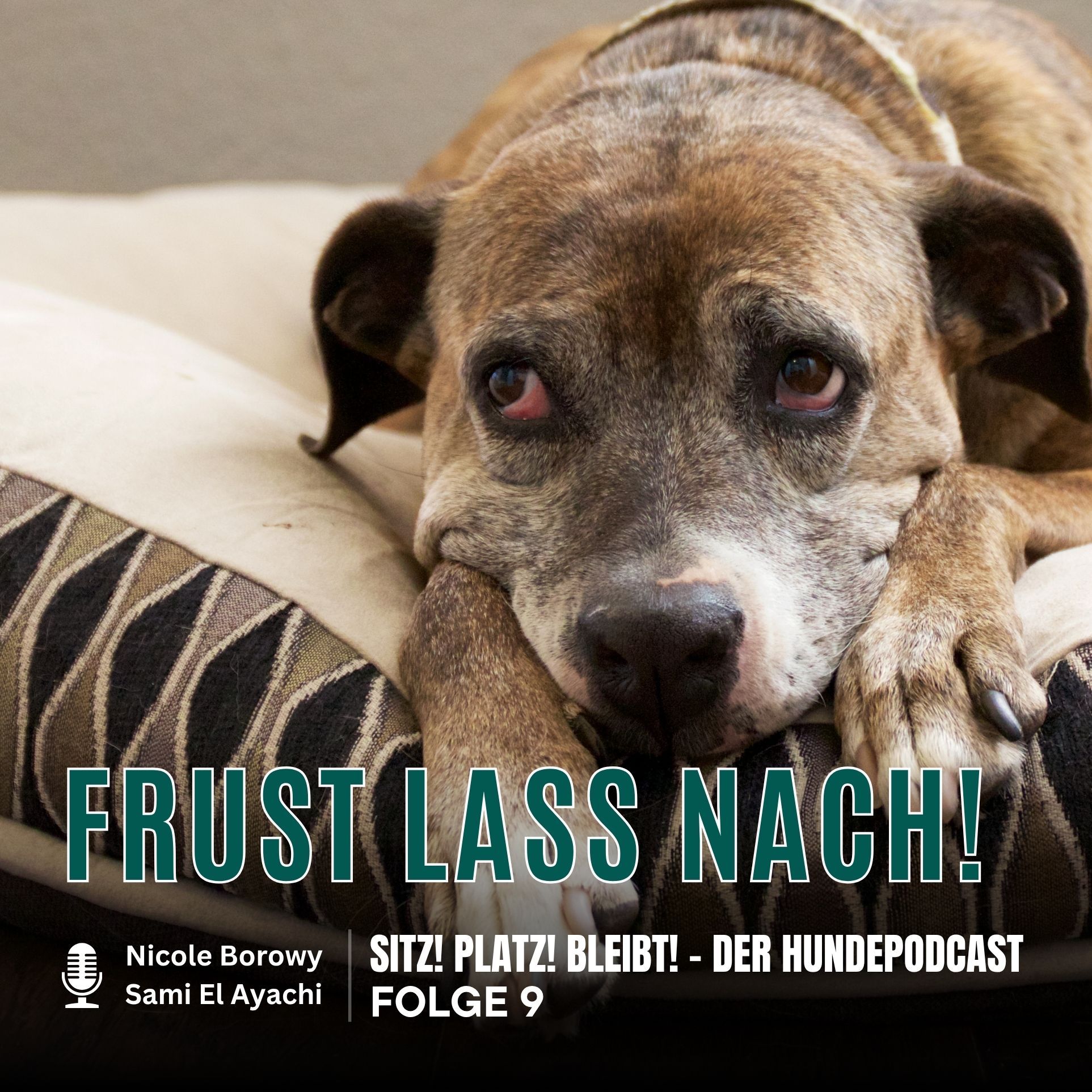 #9 Frust lass nach!