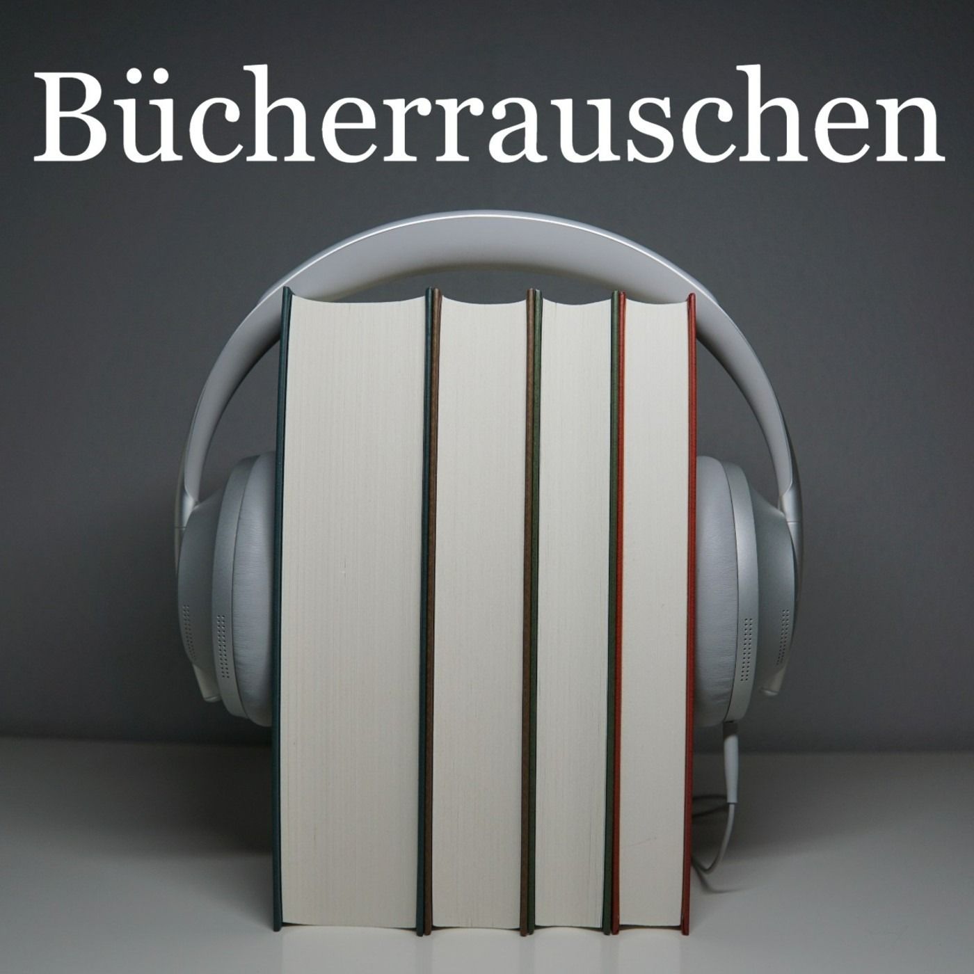 #9 Typische Verlagsbegriffe 2.0 – Titelschutz, Waschzettel, Metadaten & Co.