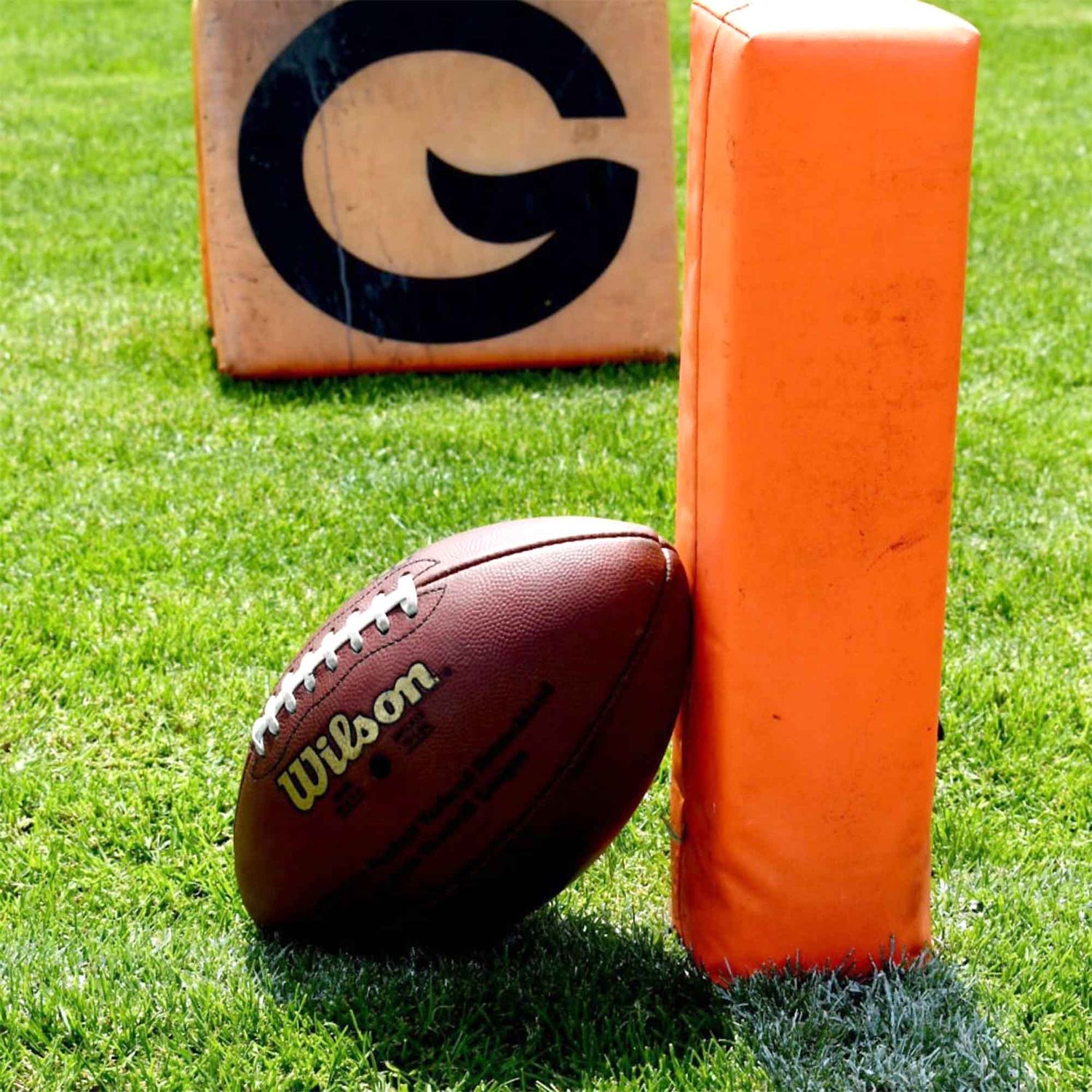 Von Zebras und anderen Tierarten im American Football neue Folge RTL+