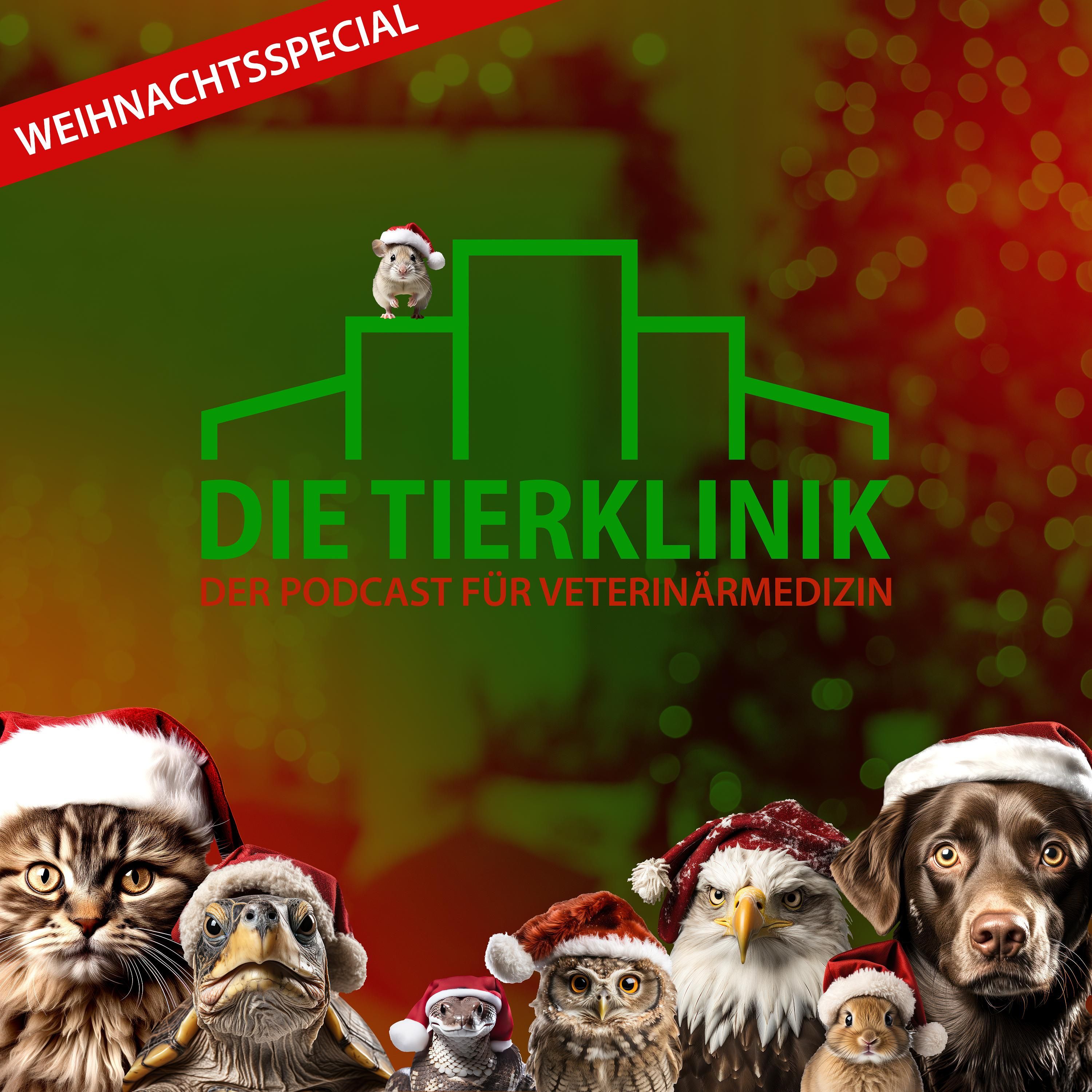 #9 Weihnachtsspecial: Unsere skurrilsten Erlebnisse in der Tierklinik