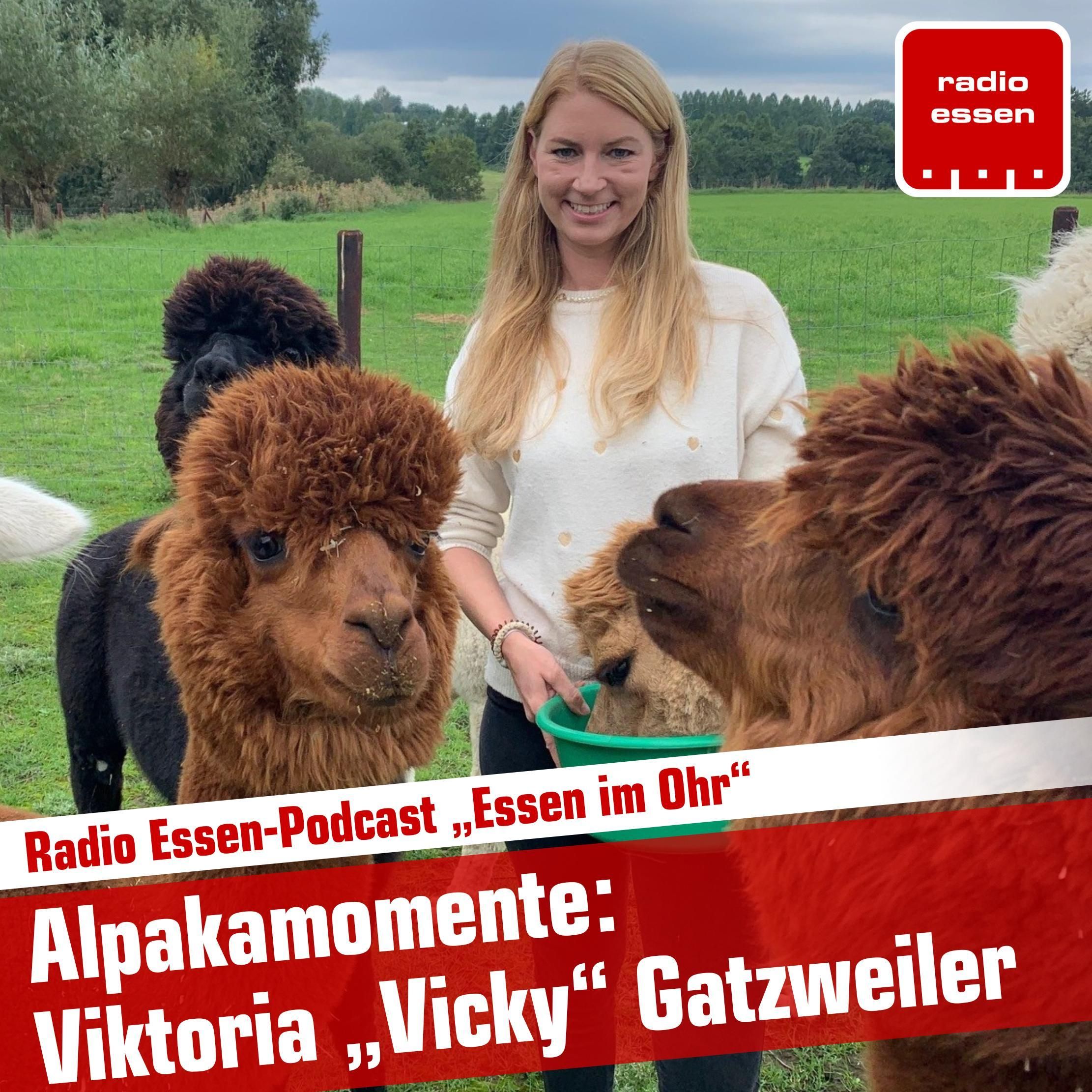 #92 Alpakamomente mit Vicky Gatzweiler