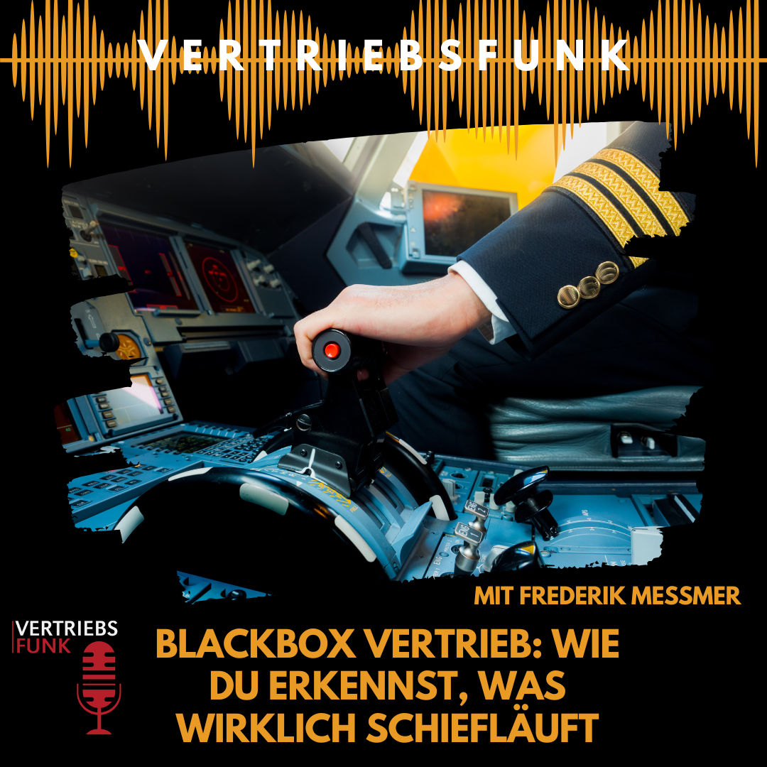 #965 - Blackbox Vertrieb: Wie du erkennst, was wirklich schiefläuft. Mit Frederik Meßmer