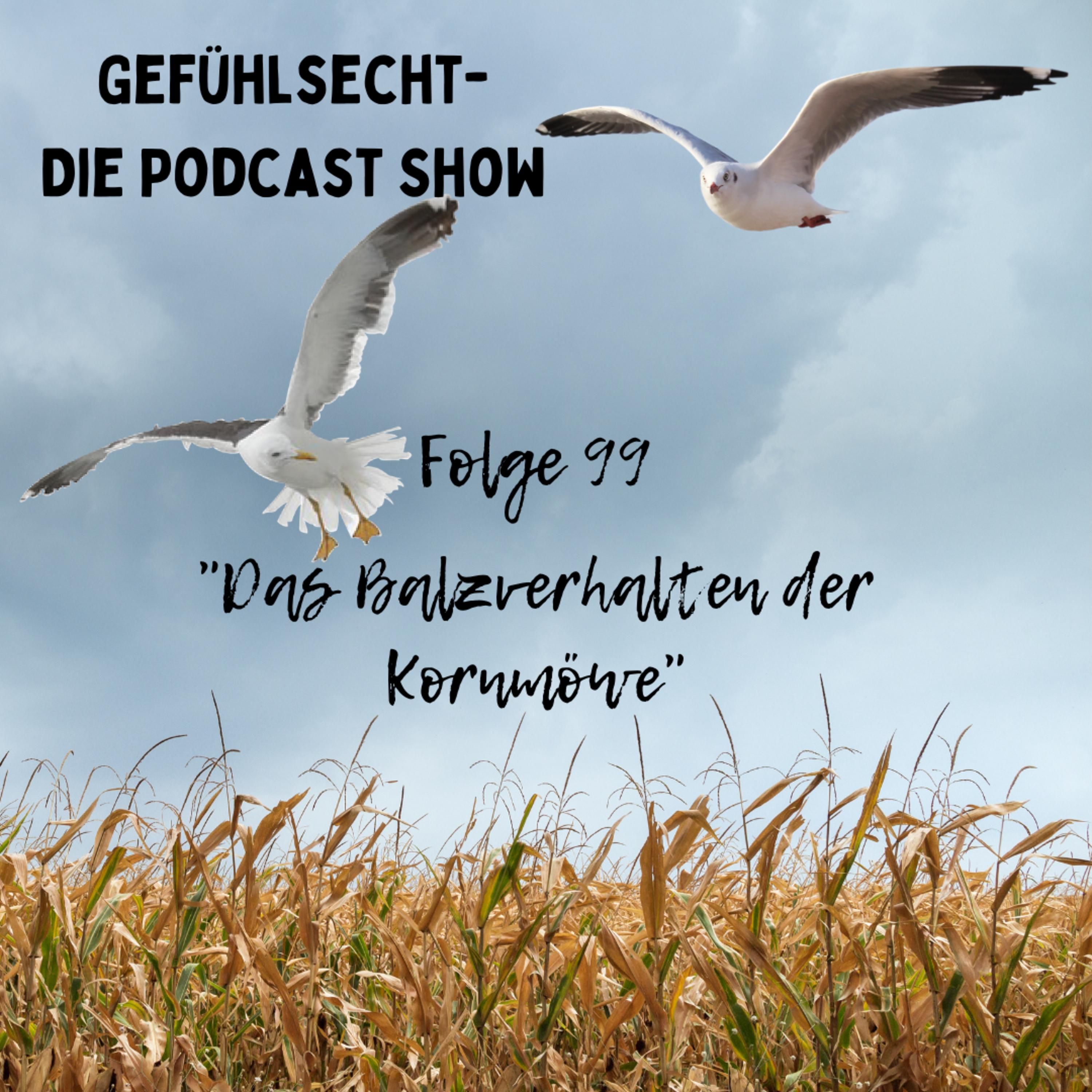 Das Balzverhalten der Kornmöwe - Eine Langzeit Studie - Episode 99