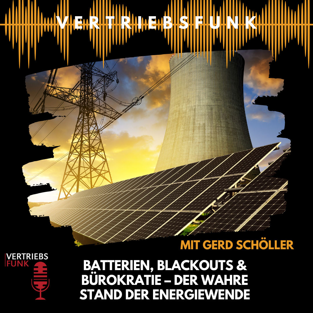 #993 - Batterien, Blackouts & Bürokratie – der wahre Stand der Energiewende mit Gerd Schöller