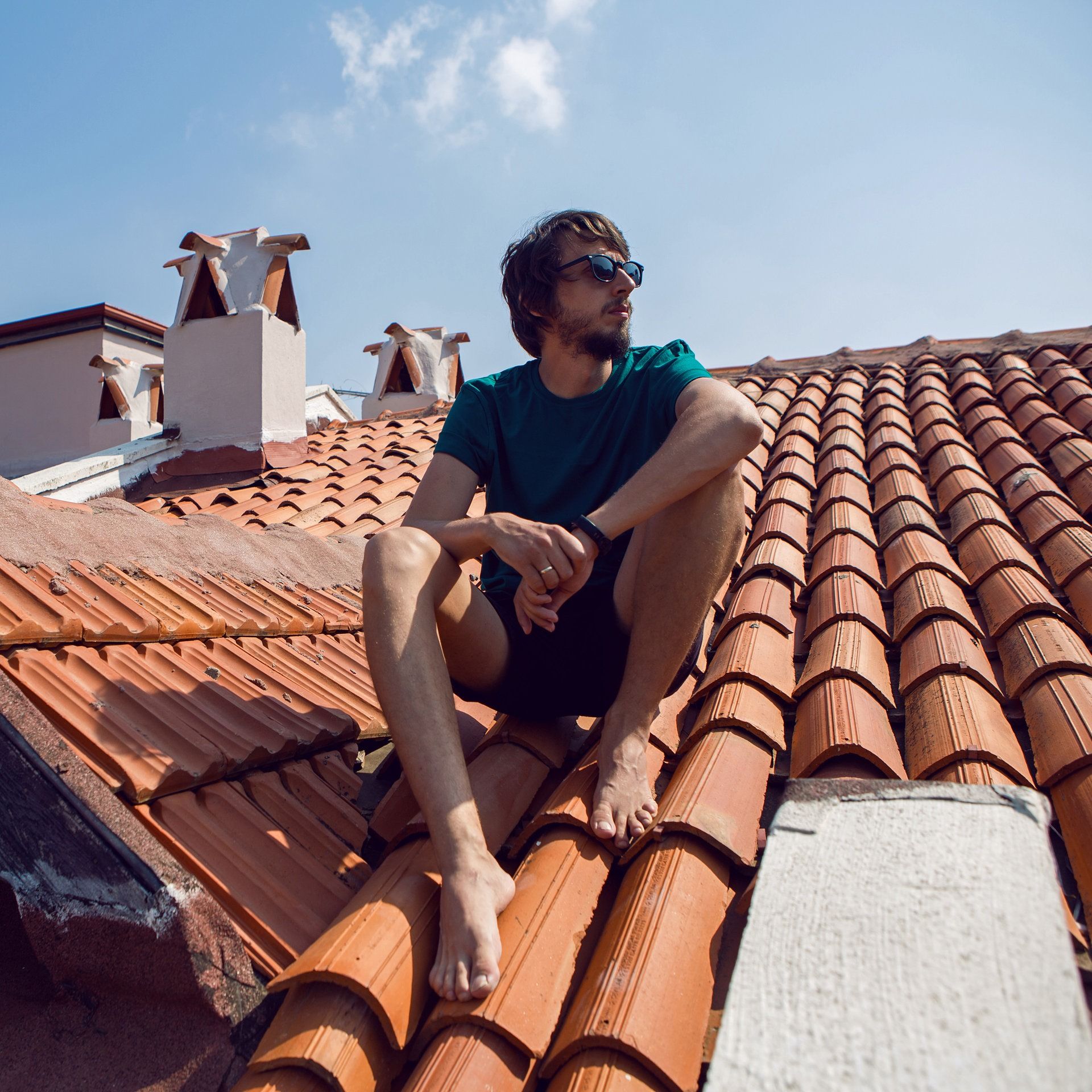 A. L. Kennedy: Born a fox – Als Fuchs geboren