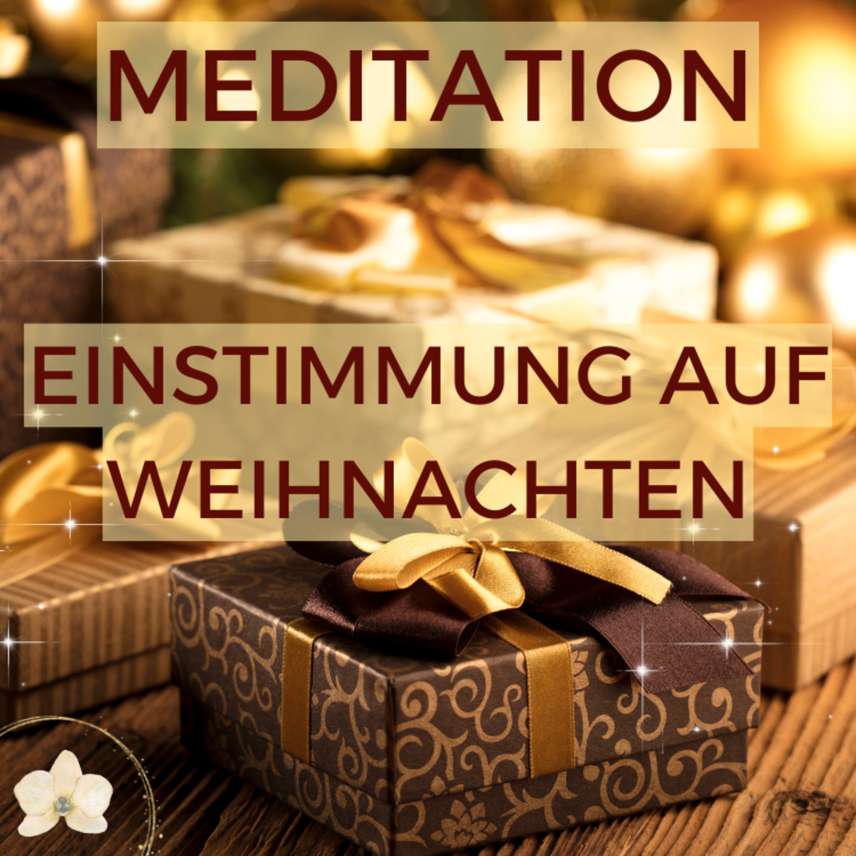 ✨ Abendliche Meditation 🎄 zur Einstimmung auf Weihnachten 💫