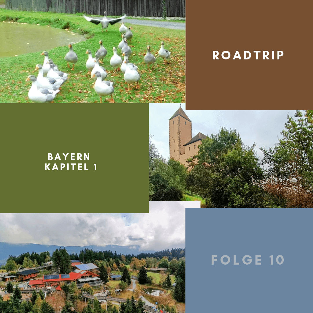 Abenteuer im Bayerischen Wald – Teil 1