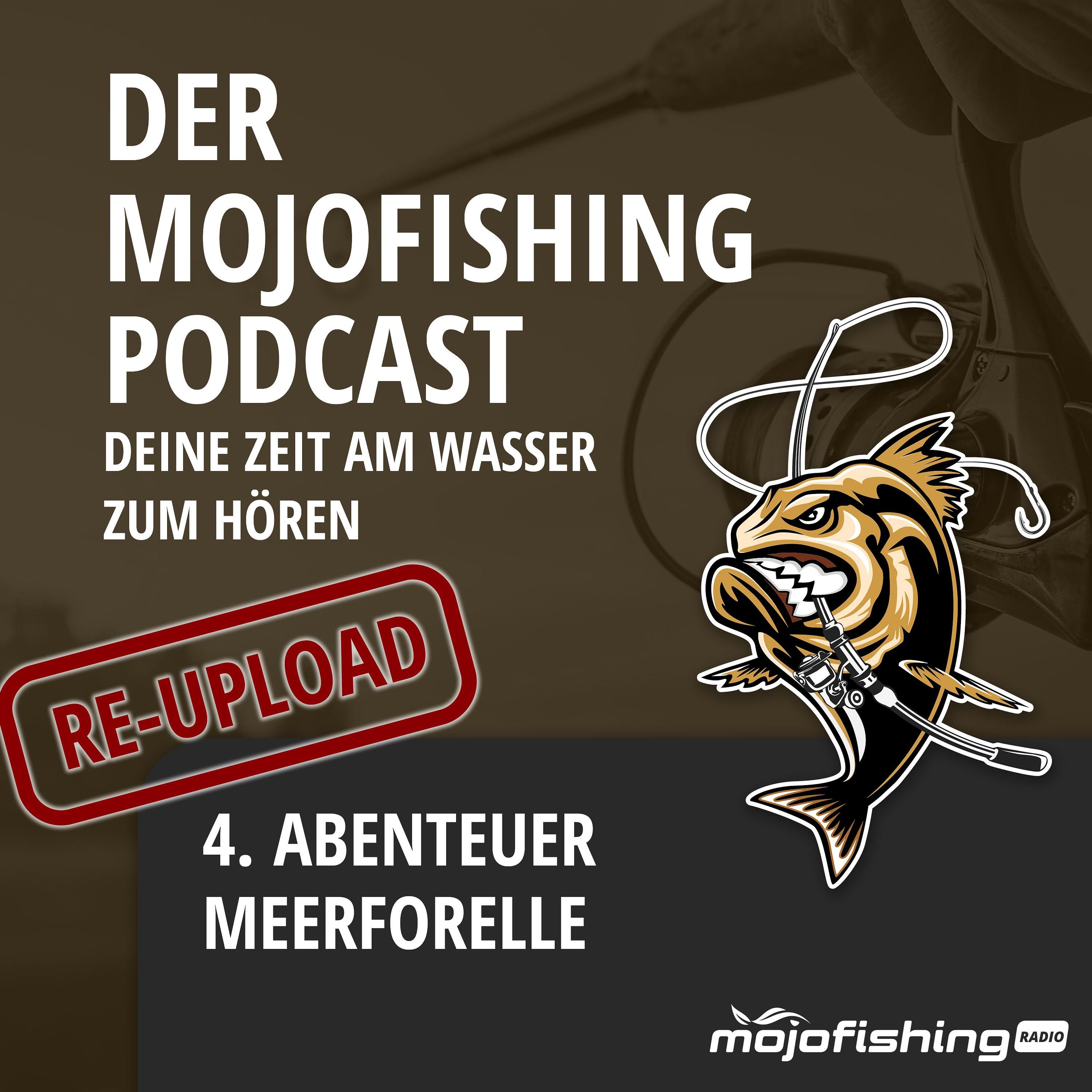 Abenteuer Meerforelle - Teil 1 (wahrscheinlich ...) (Re-Upload)