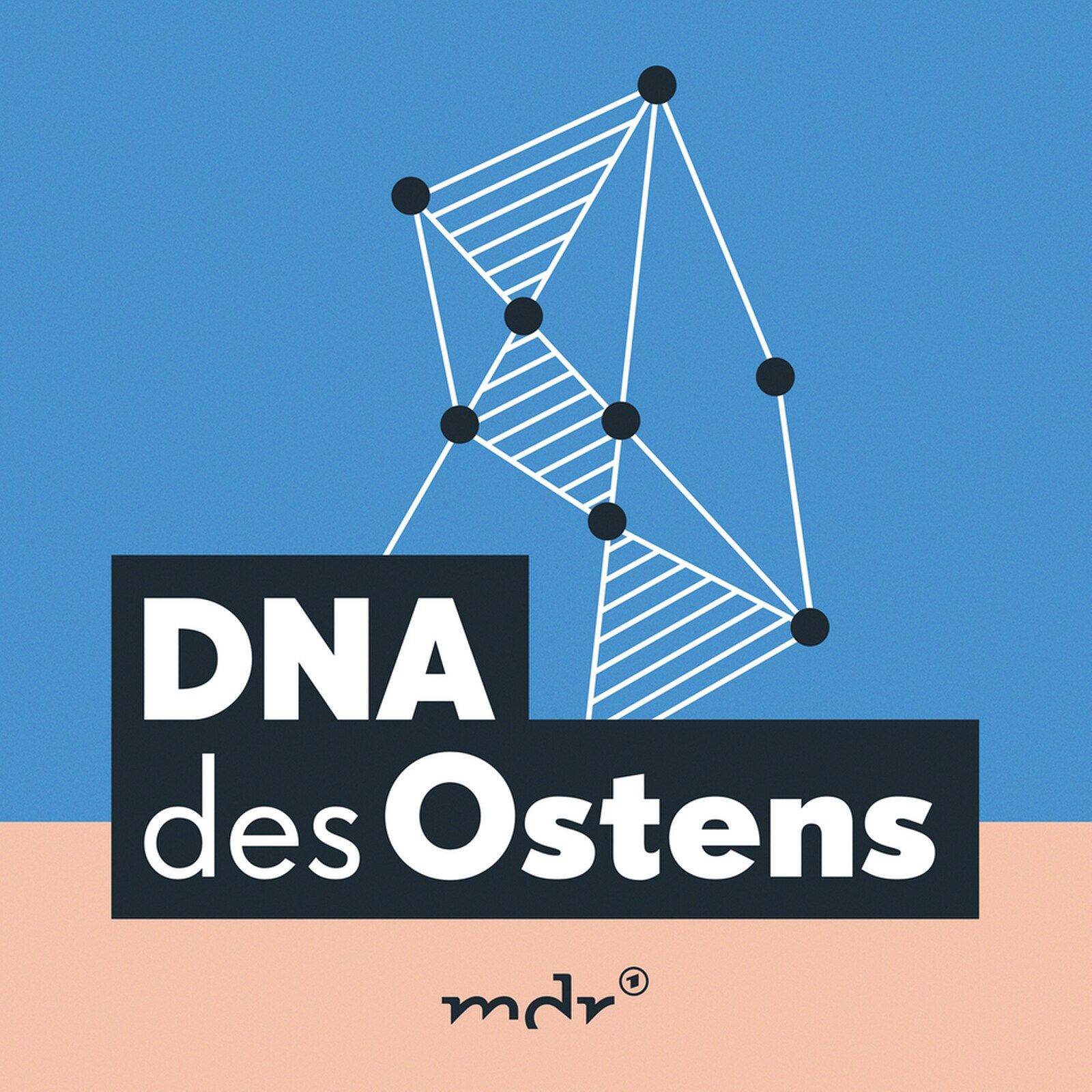 Abrechnung und Versöhnung (5/5)