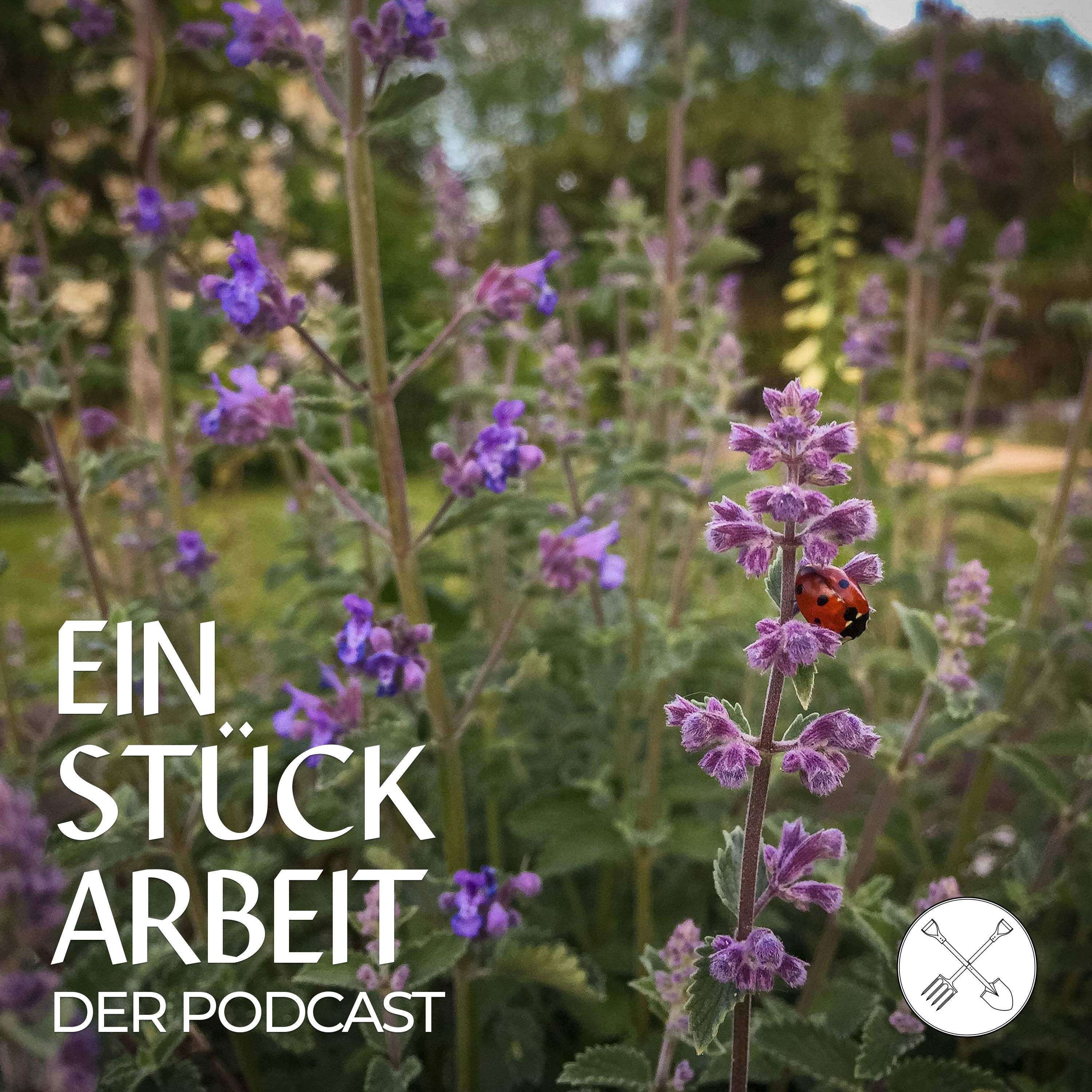 🤯➡️😌Achtsamkeit im Garten und Achtsamkeit durch den Garten