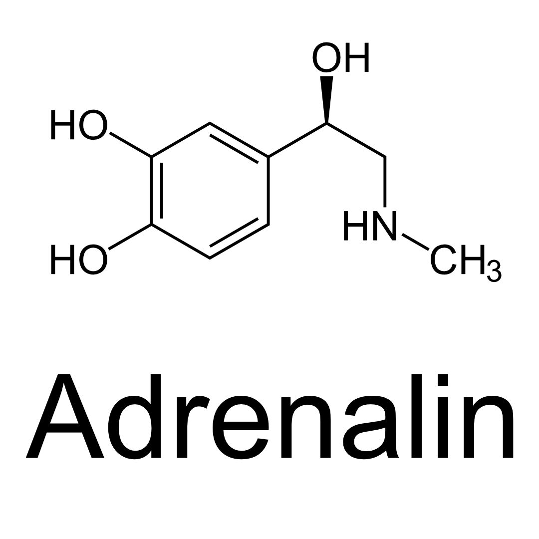 Adrenalin