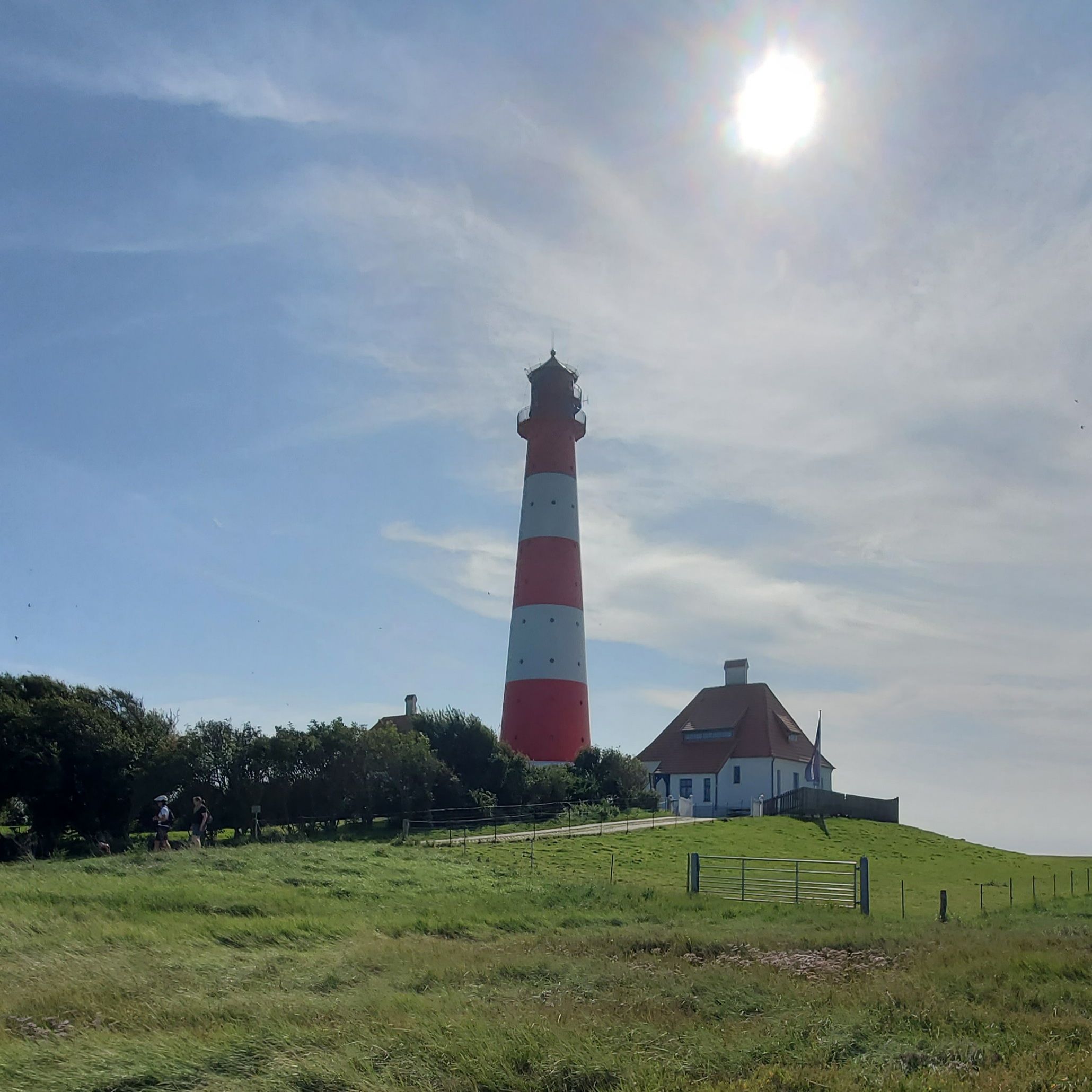 Advent: Jesus kommt als Licht und als Wahrheit, damit wir ein Zuhause haben