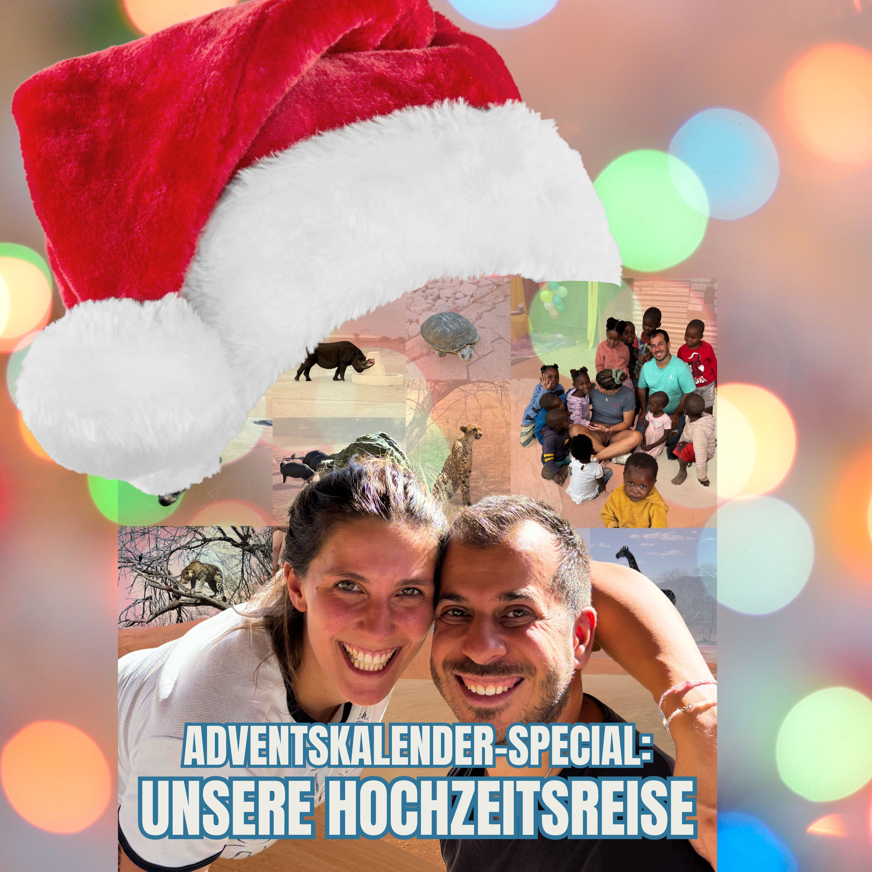 Adventsspecial #8: Die Suche nach Elefanten