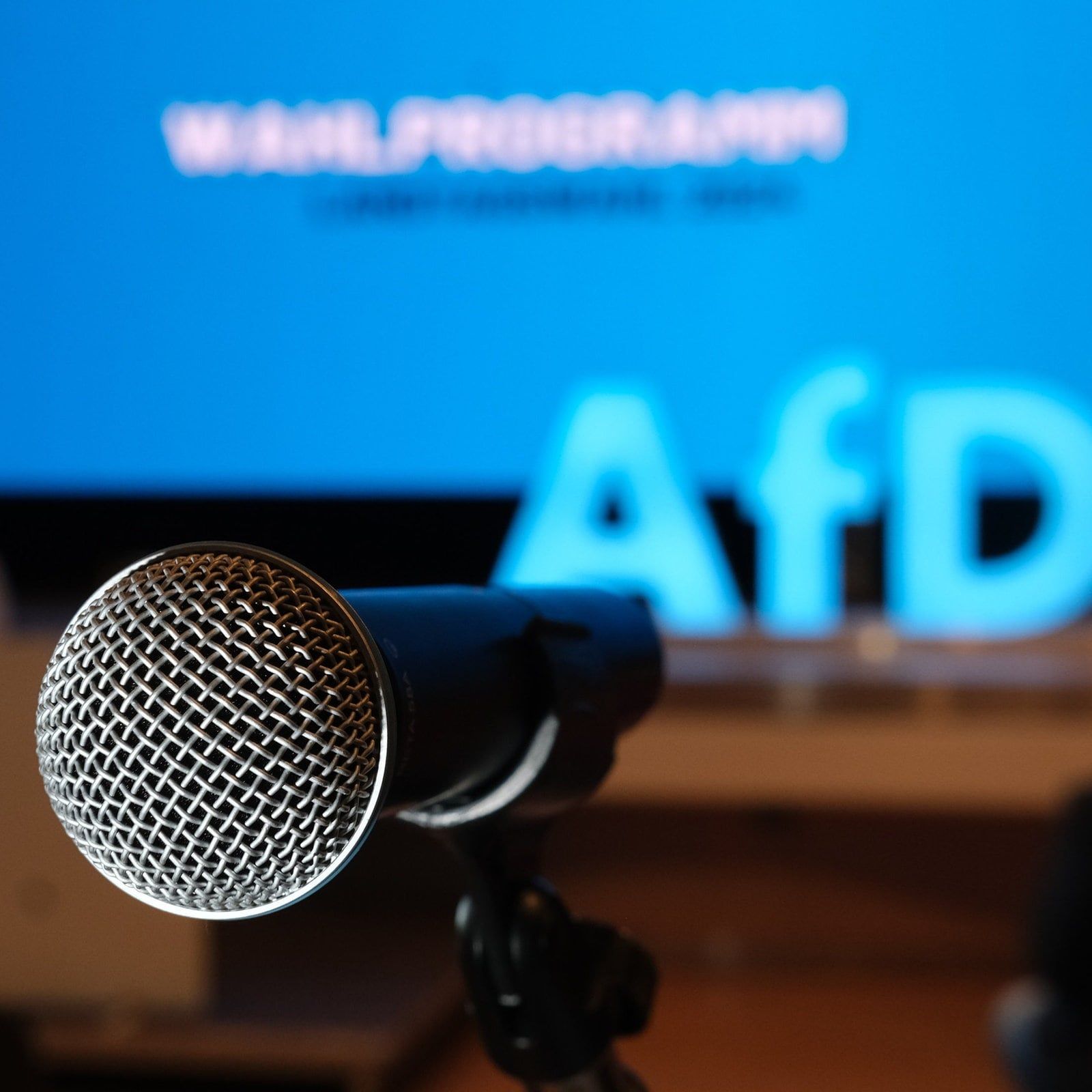AfD prüft eigenen Radiosender