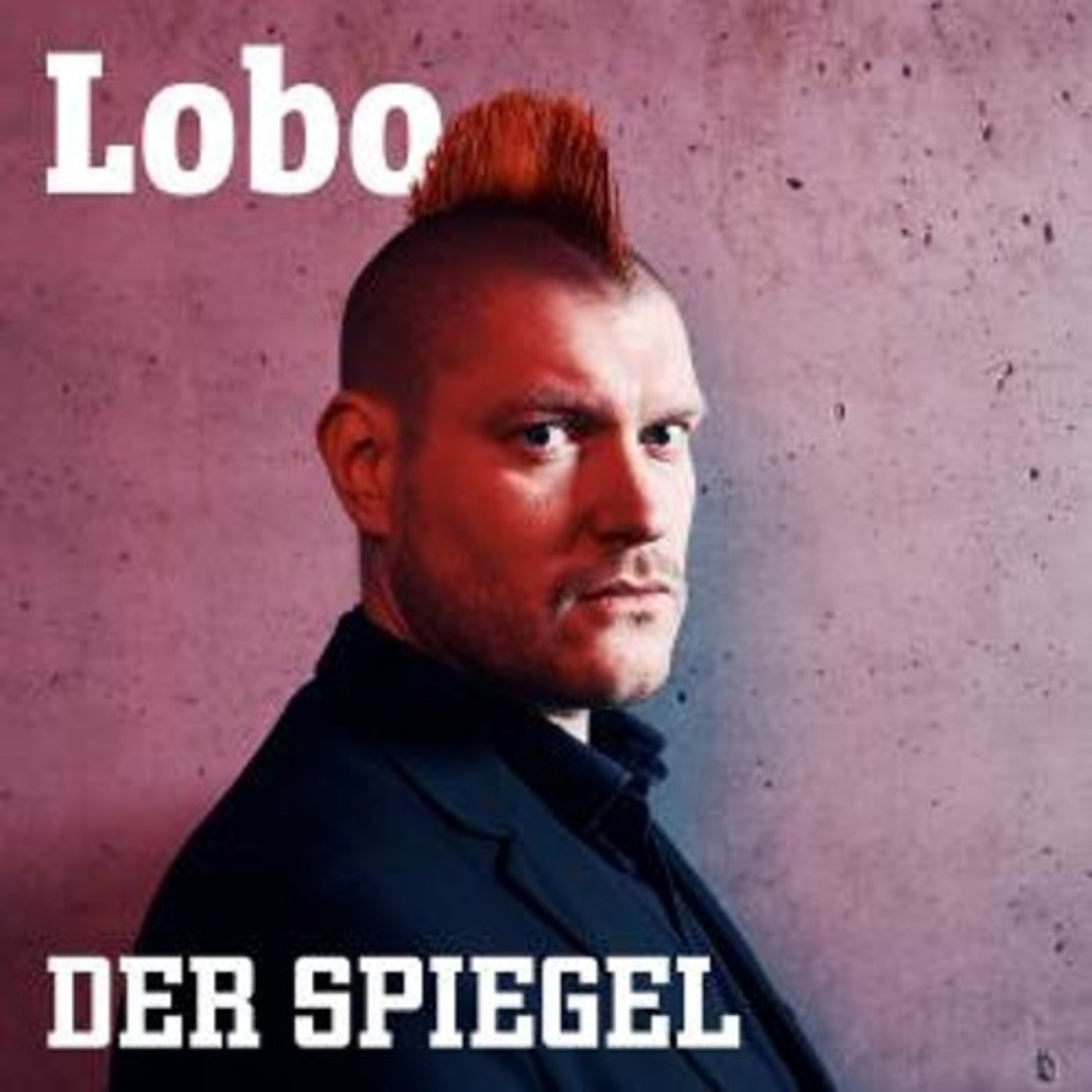 AfD und rechter Terror - Von der Hetze zum Mord