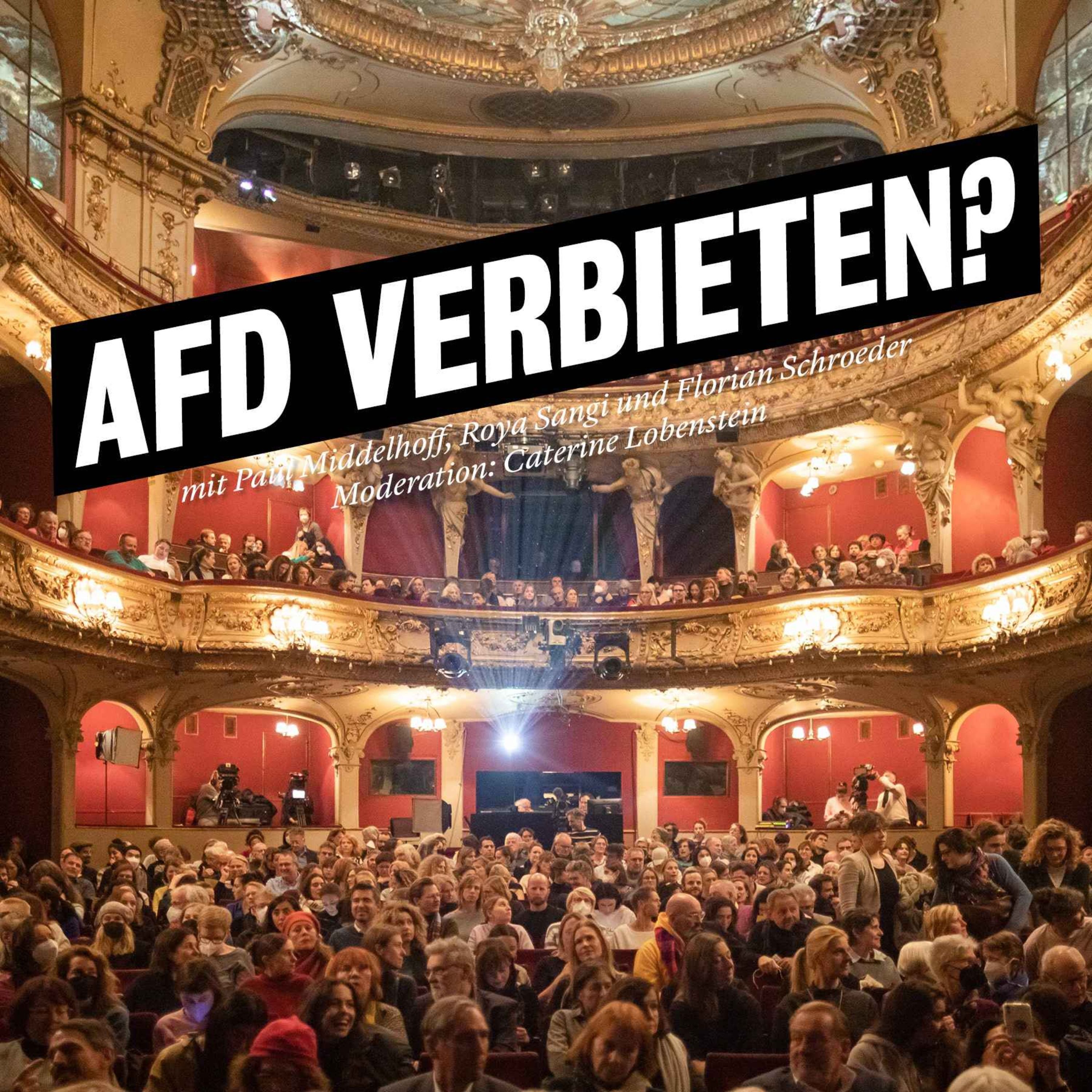 AfD verbieten?