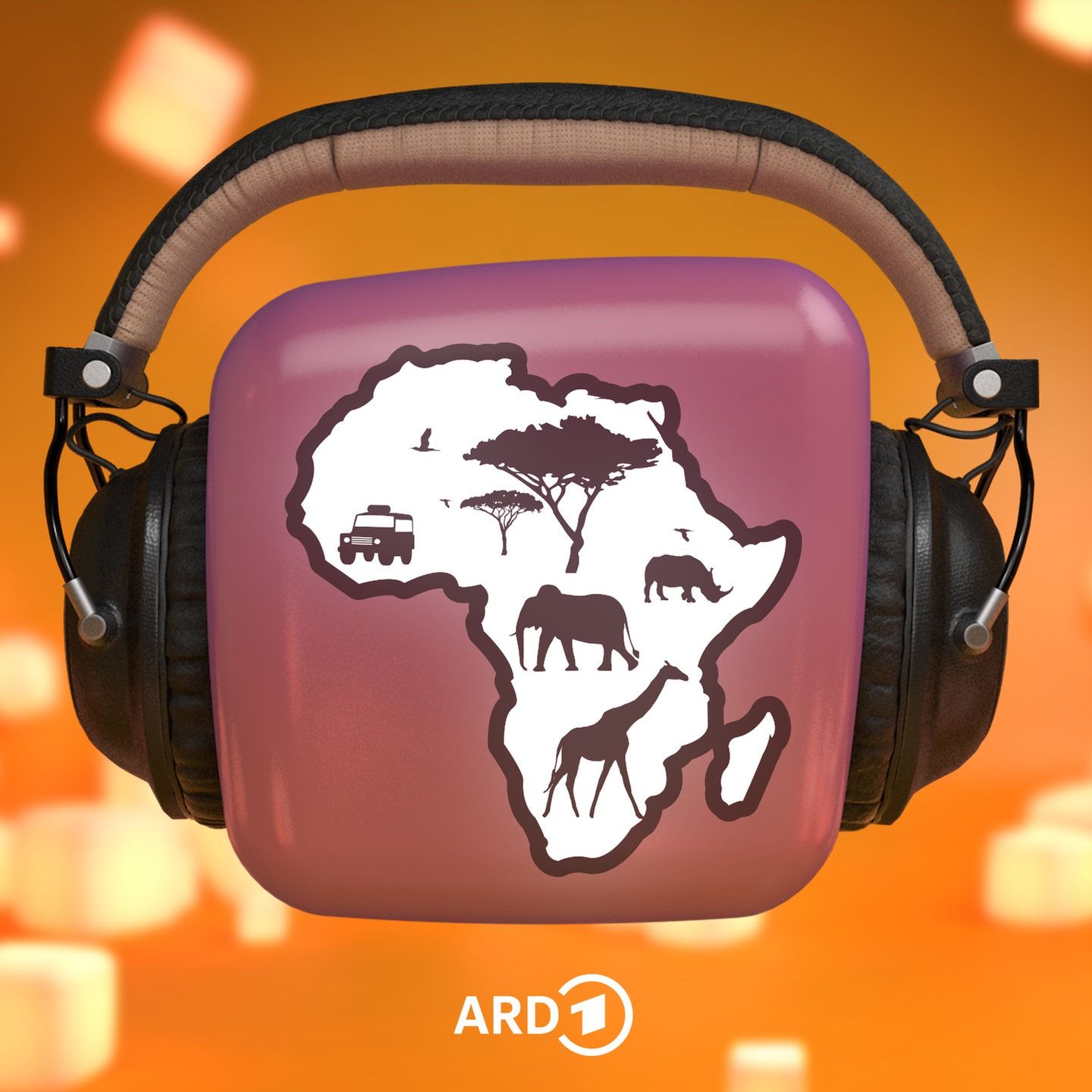 Afrika – Urwald oder Wüste?