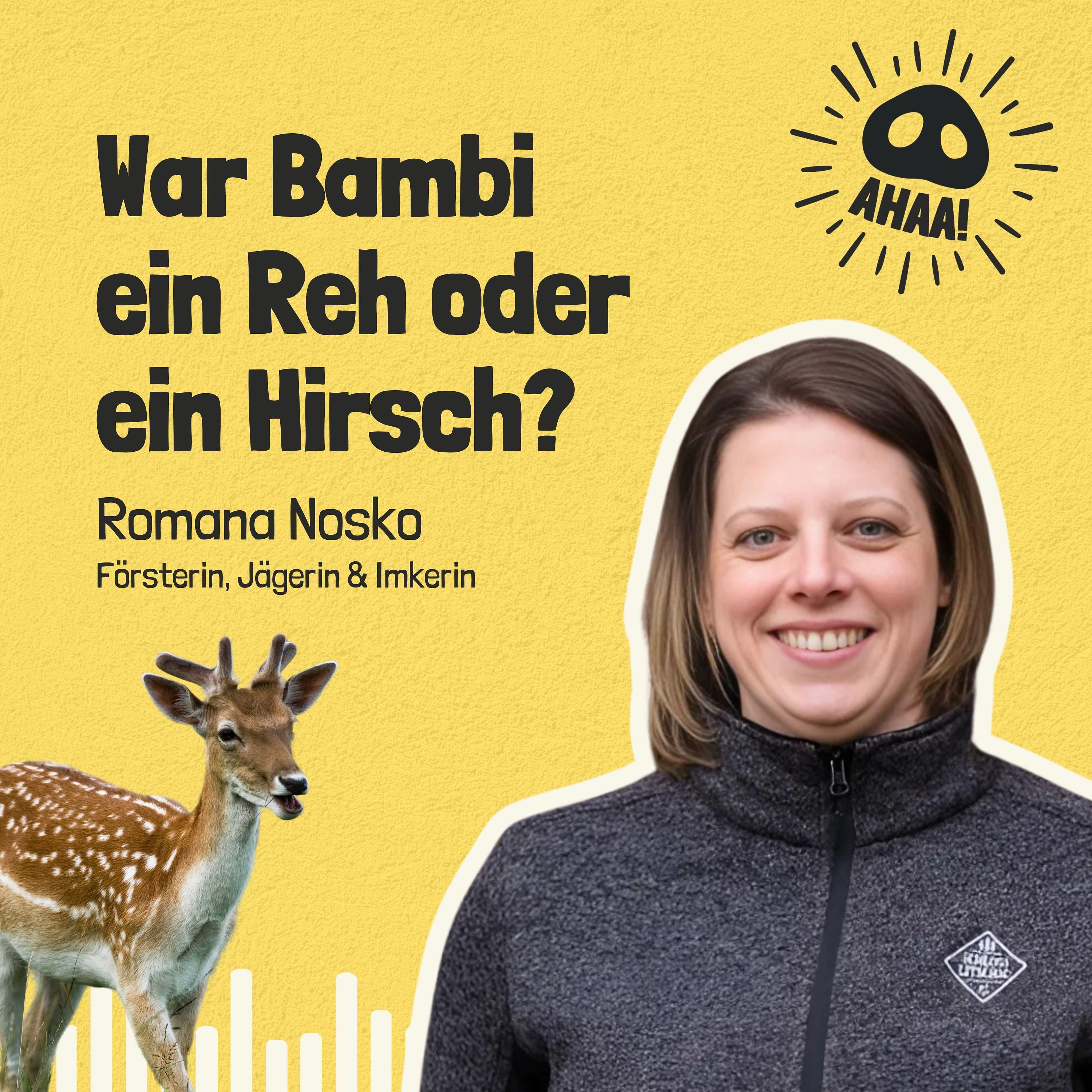 Ahaa! - War Bambi ein Reh oder ein Hirsch?