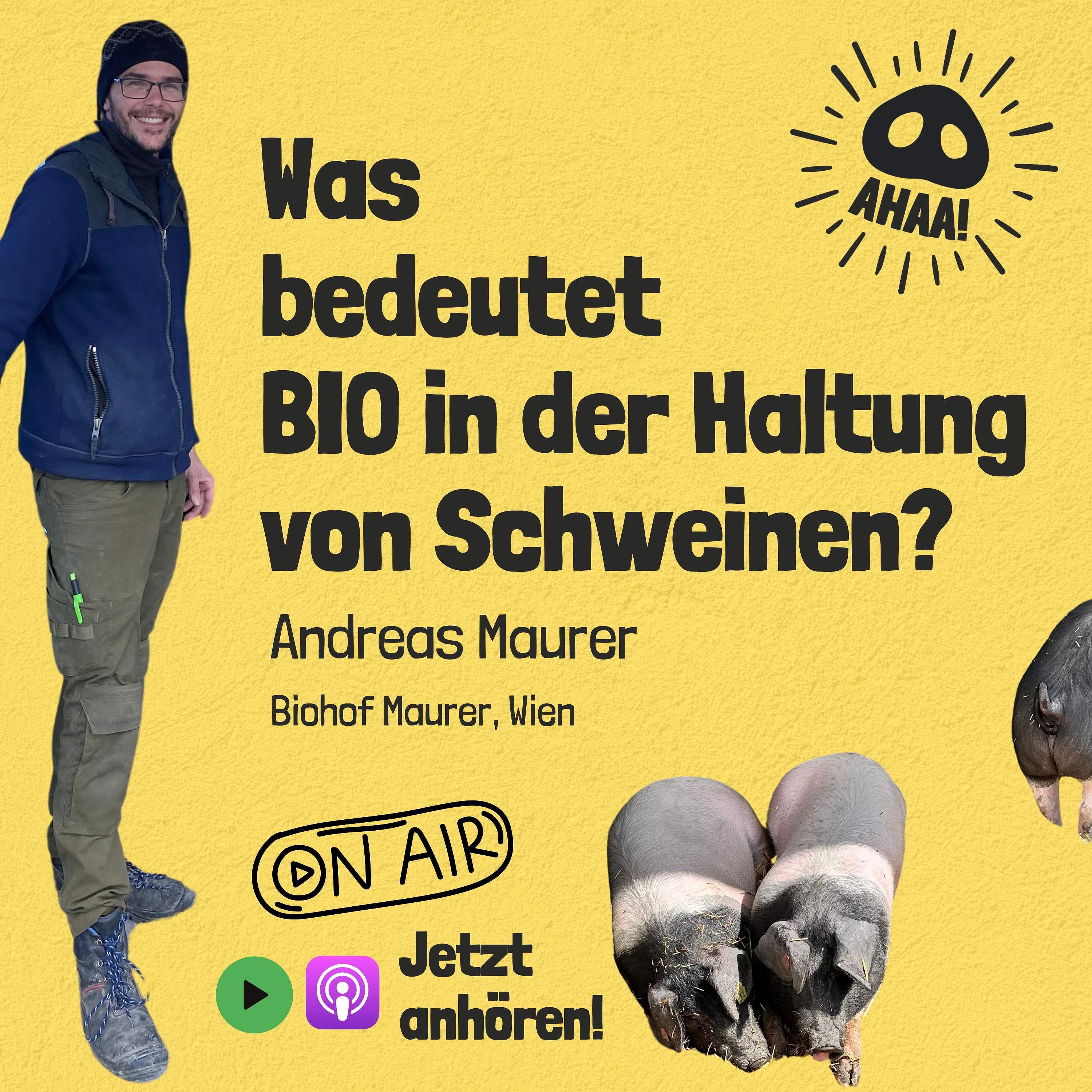 Ahaa! - Was bedeutet Bio in der Schweinehaltung?