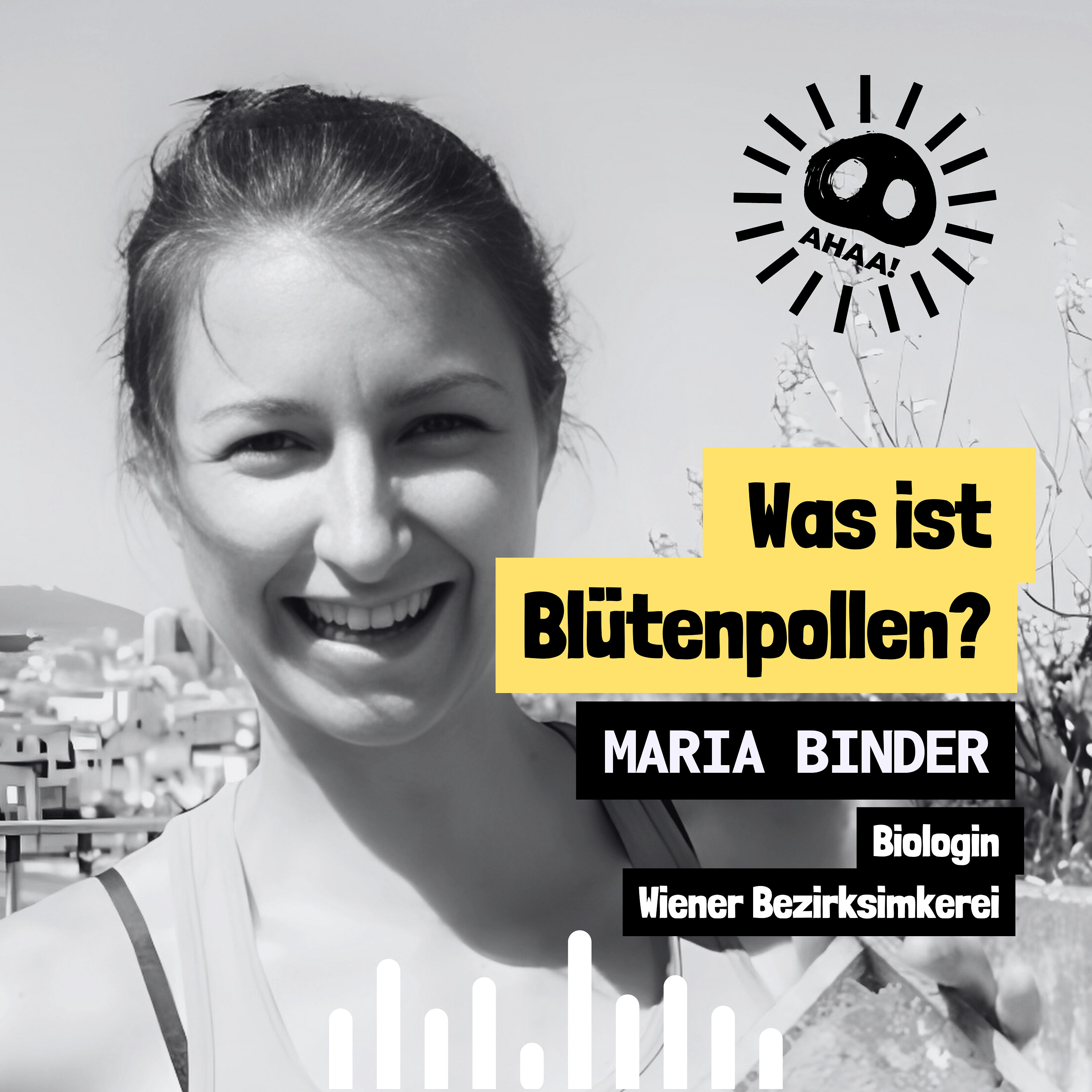 Ahaa! - Was ist Blütenpollen?