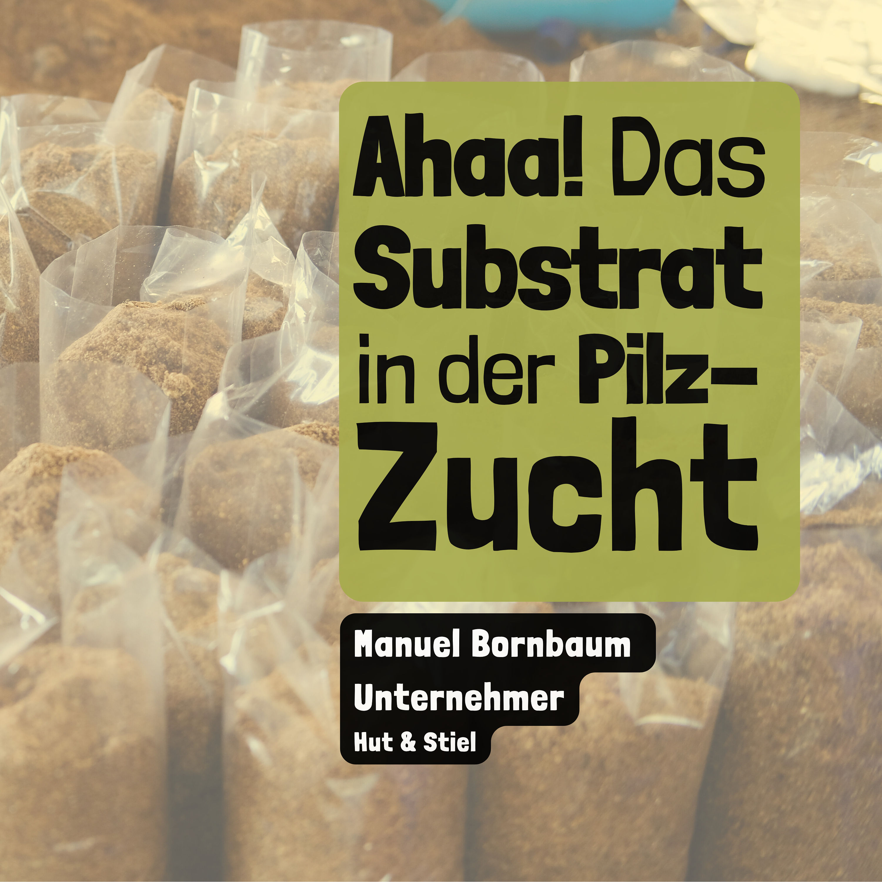 Ahaa - Was ist das Substrat in der Pilzzucht?
