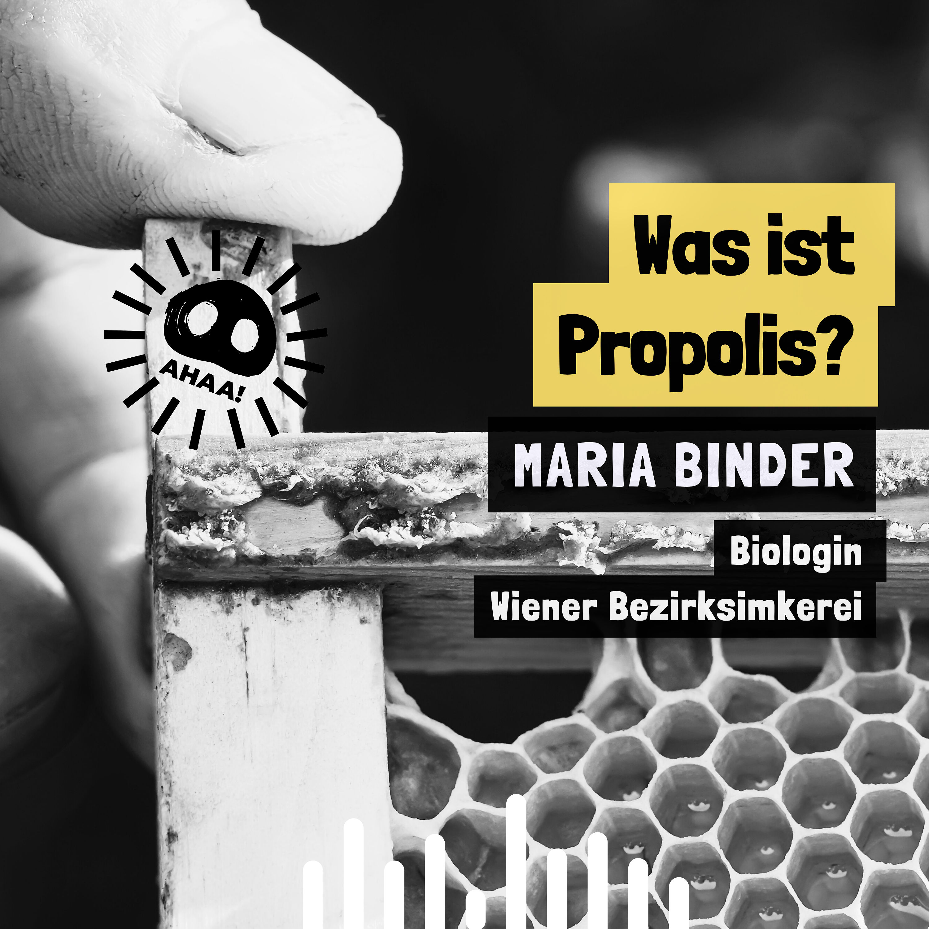 Ahaa! - Was ist Propolis?