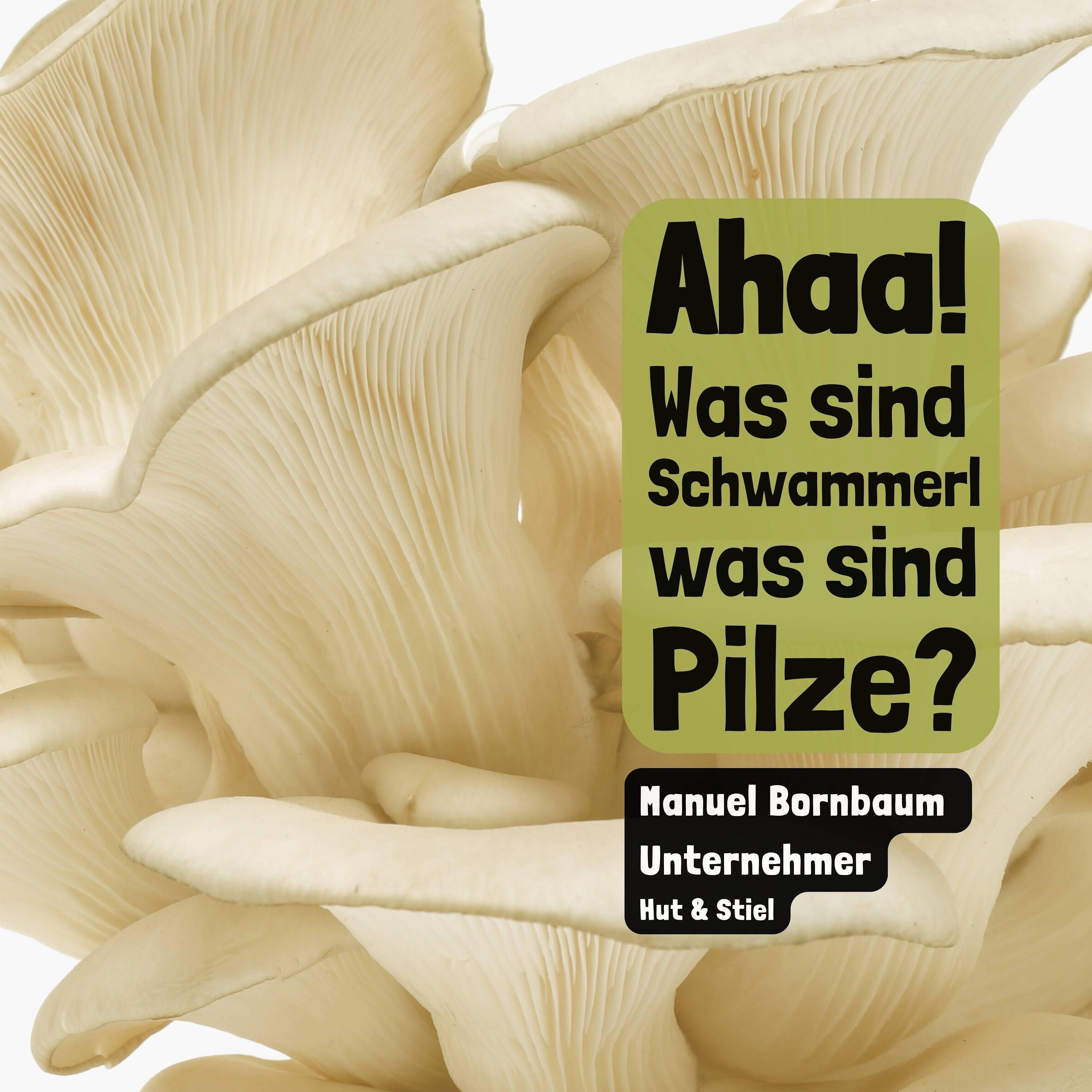 Ahaa! - Was sind Schwammerl, was sind Pilze?