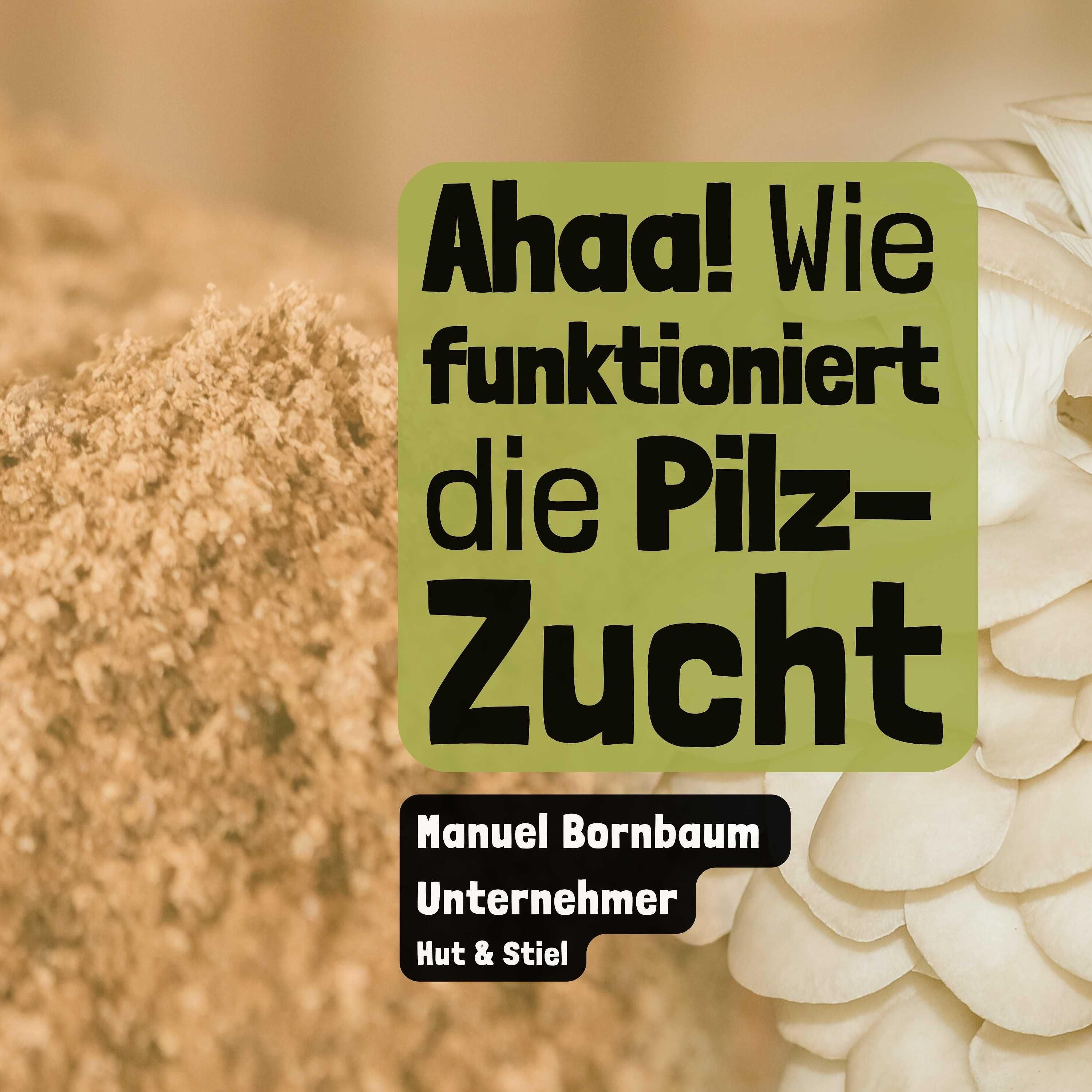 Ahaa - Wie funktioniert die Pilzzucht?