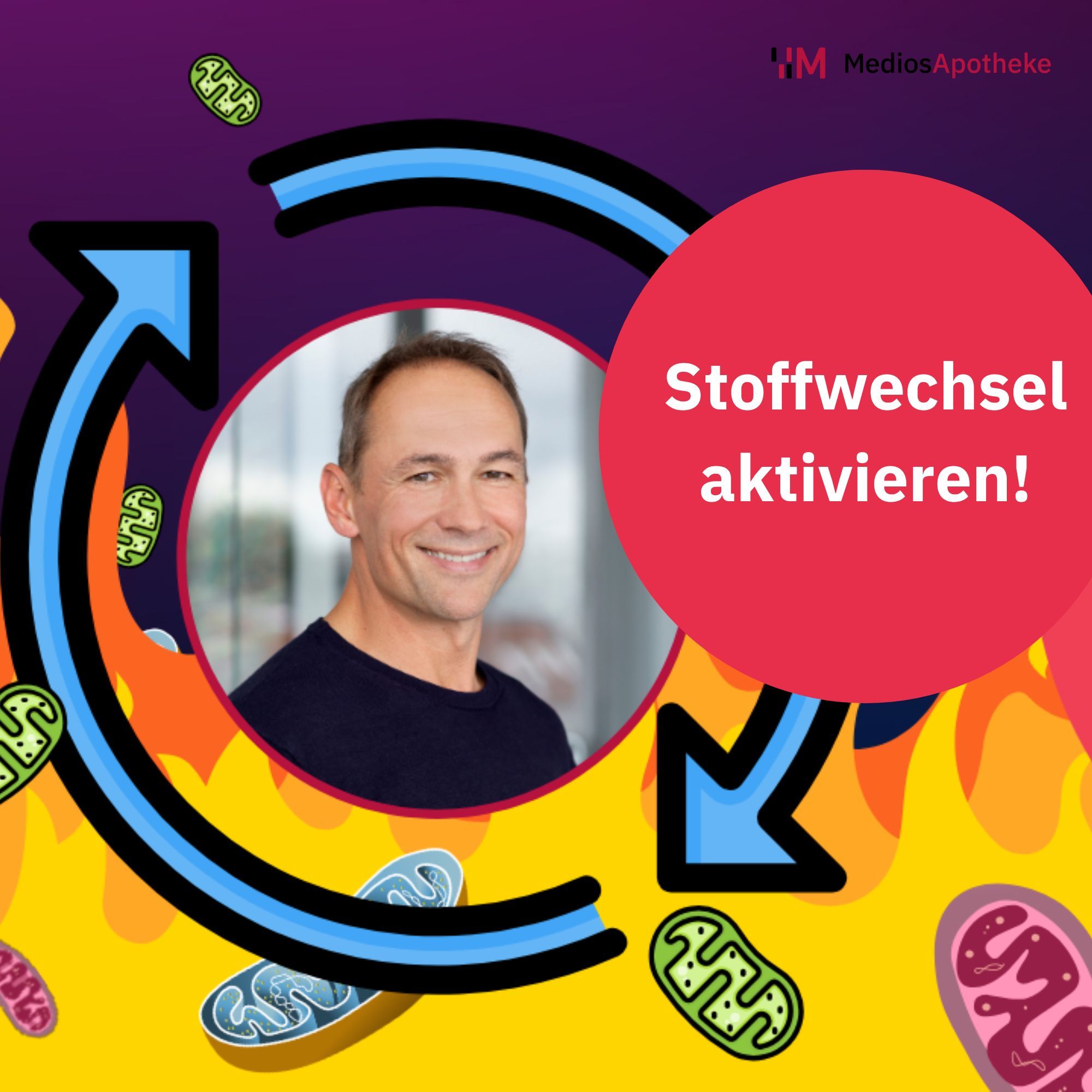 Aktiviere deinen Stoffwechsel - Starke Auswirkung auf Fettverbrennung, den Hormonspiegel und Insulin
