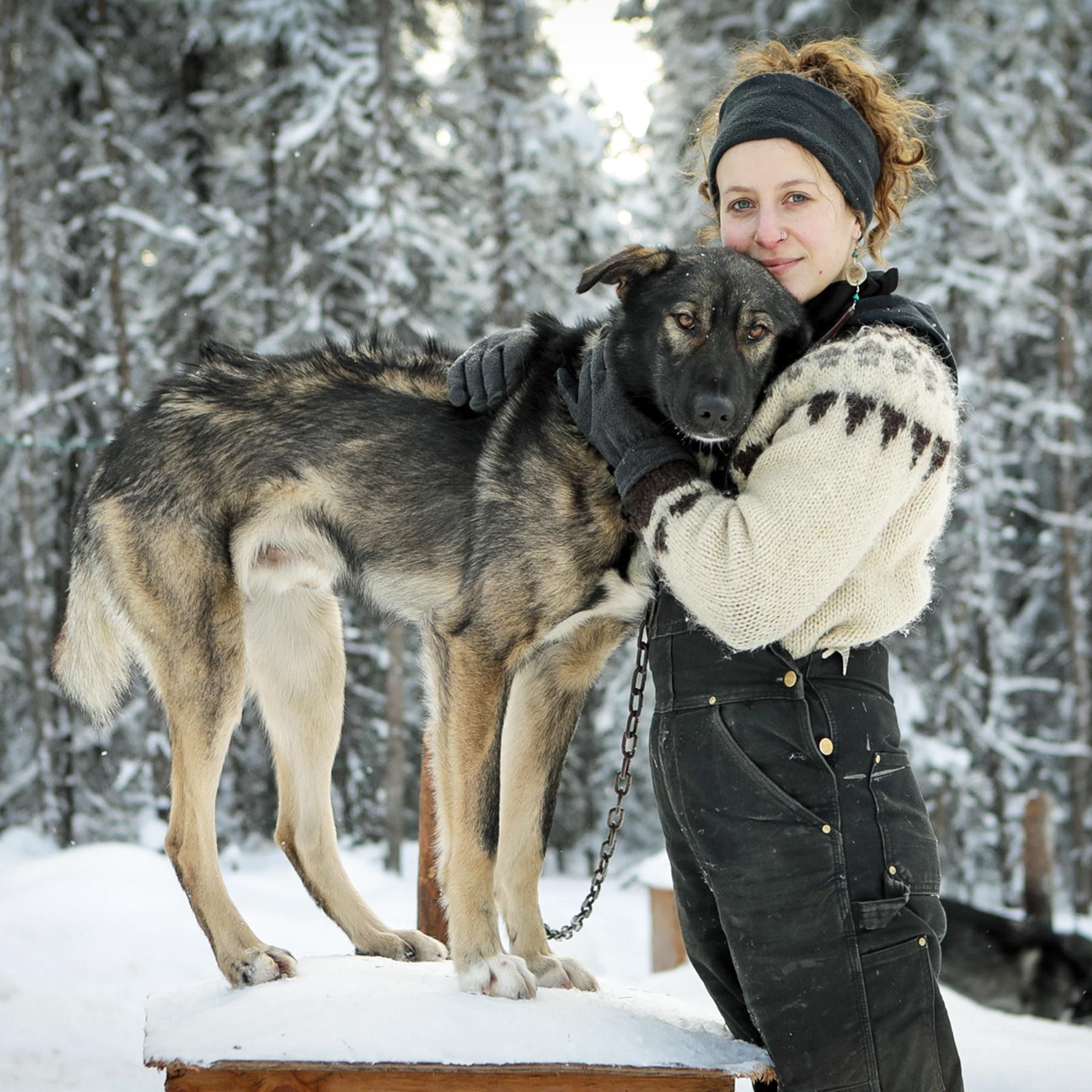 Alaska: First Nations am Yukon, Leben in der Blockhütte, Hundeschlittenrennen bei Nacht