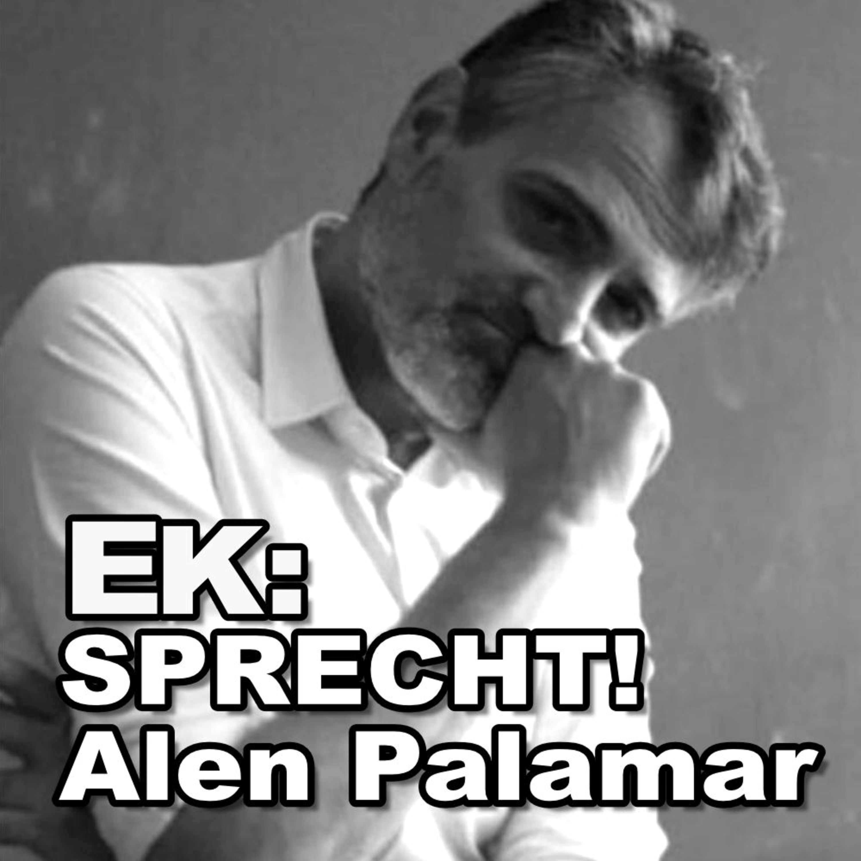 Alen Palamar Vinyl Artist