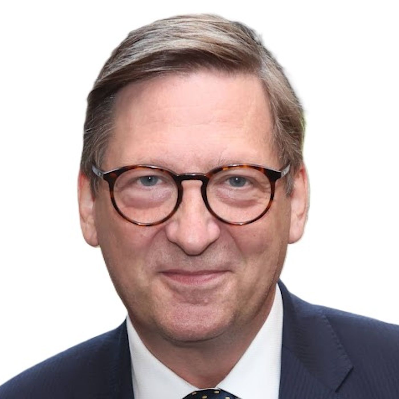 Alexander Homann, Botschaftsrat