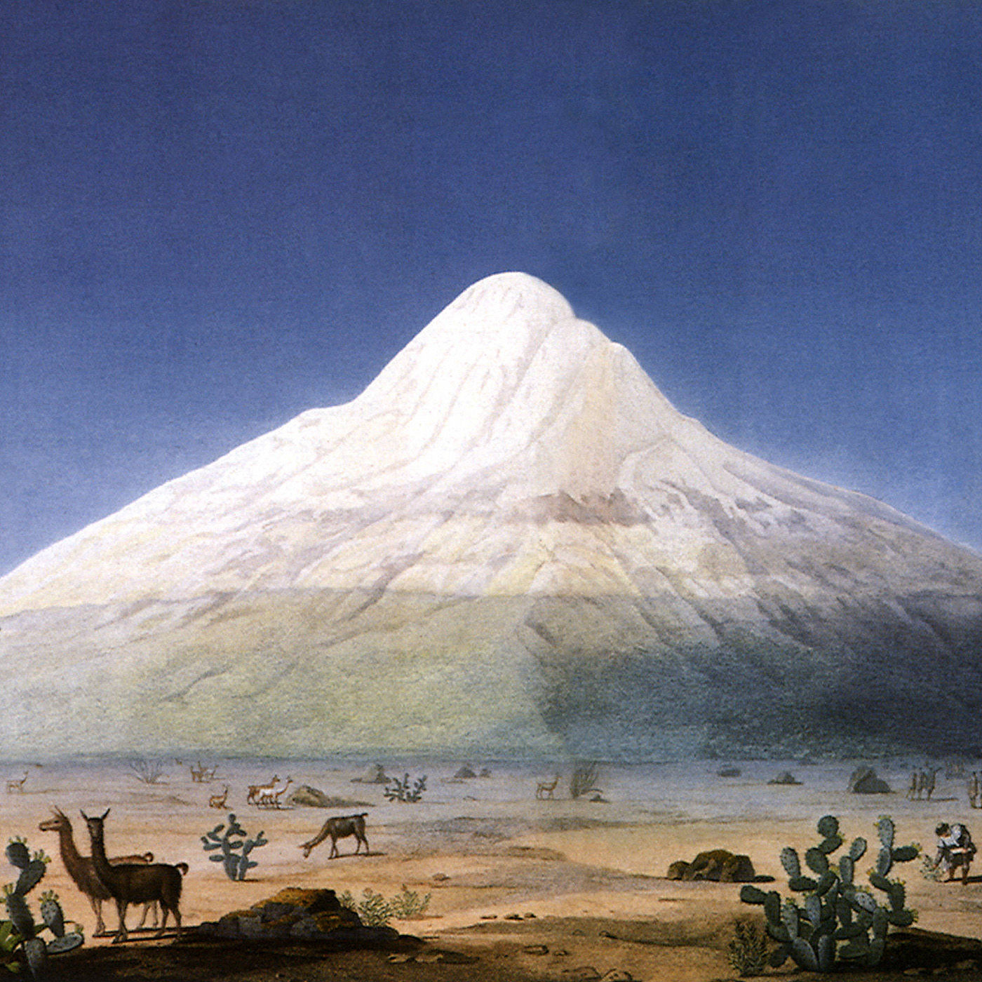 Alexander von Humboldts unbekannter Kosmos - 6 v 8 - Humboldt als früher Pionier der Ökologiebewegung