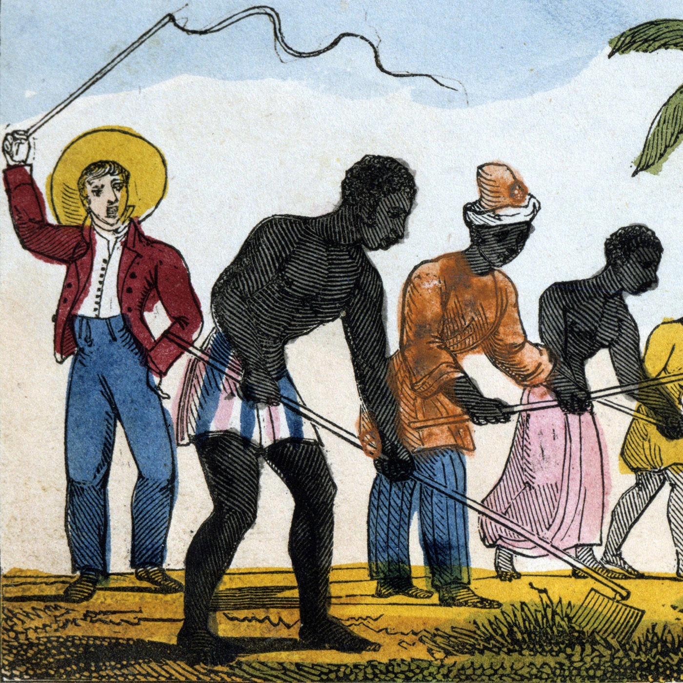 Alexander von Humboldts unbekannter Kosmos - Folge 4 v 8 - Alexander von Humboldts unbekannter Kosmos