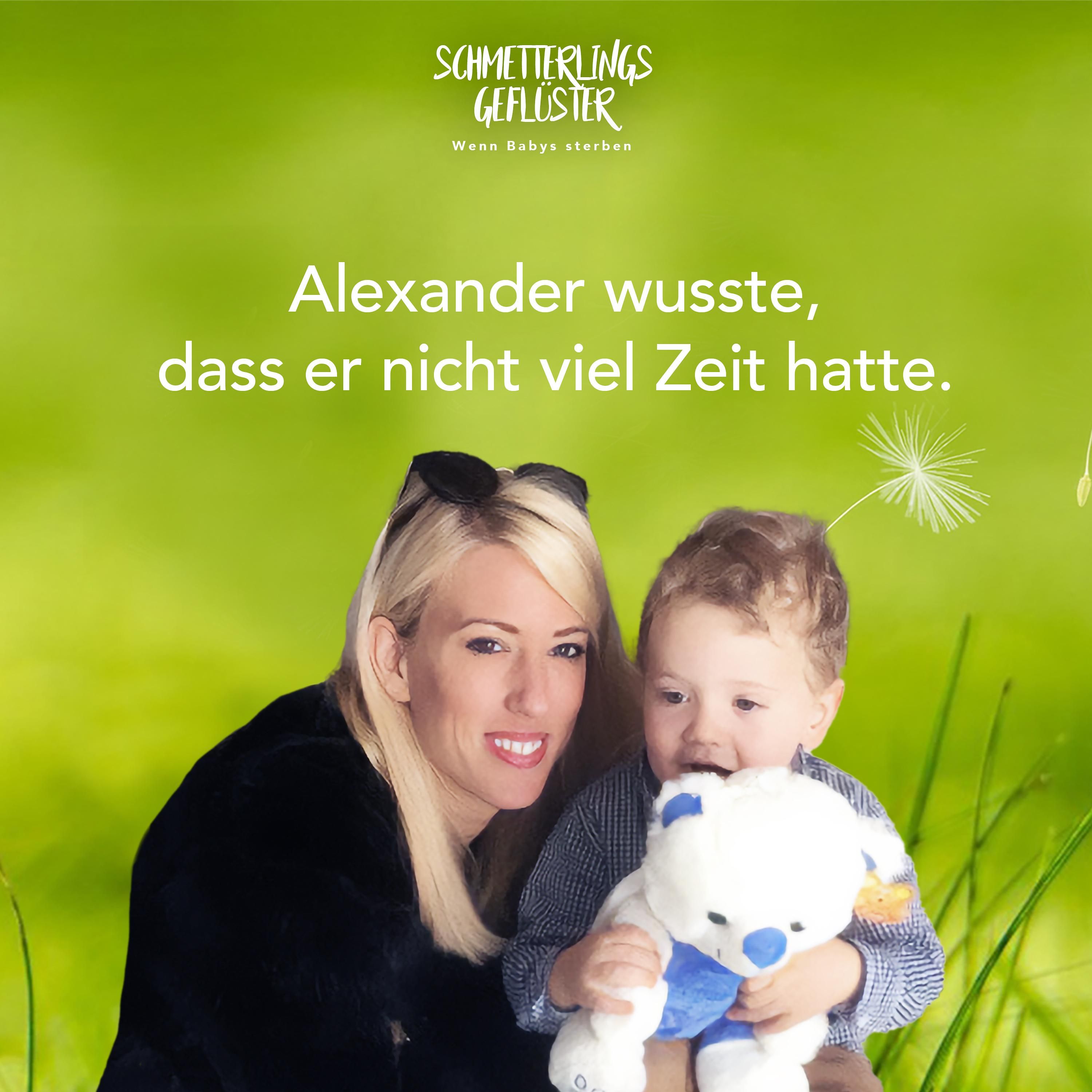 Alexander wusste, dass er nicht viel Zeit hatte.