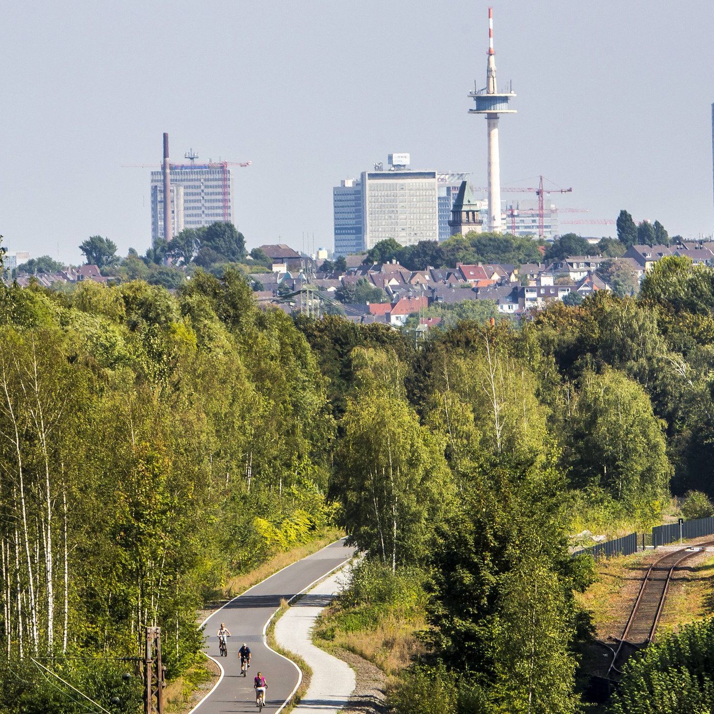 Alfred Hirsch: Heimatweh