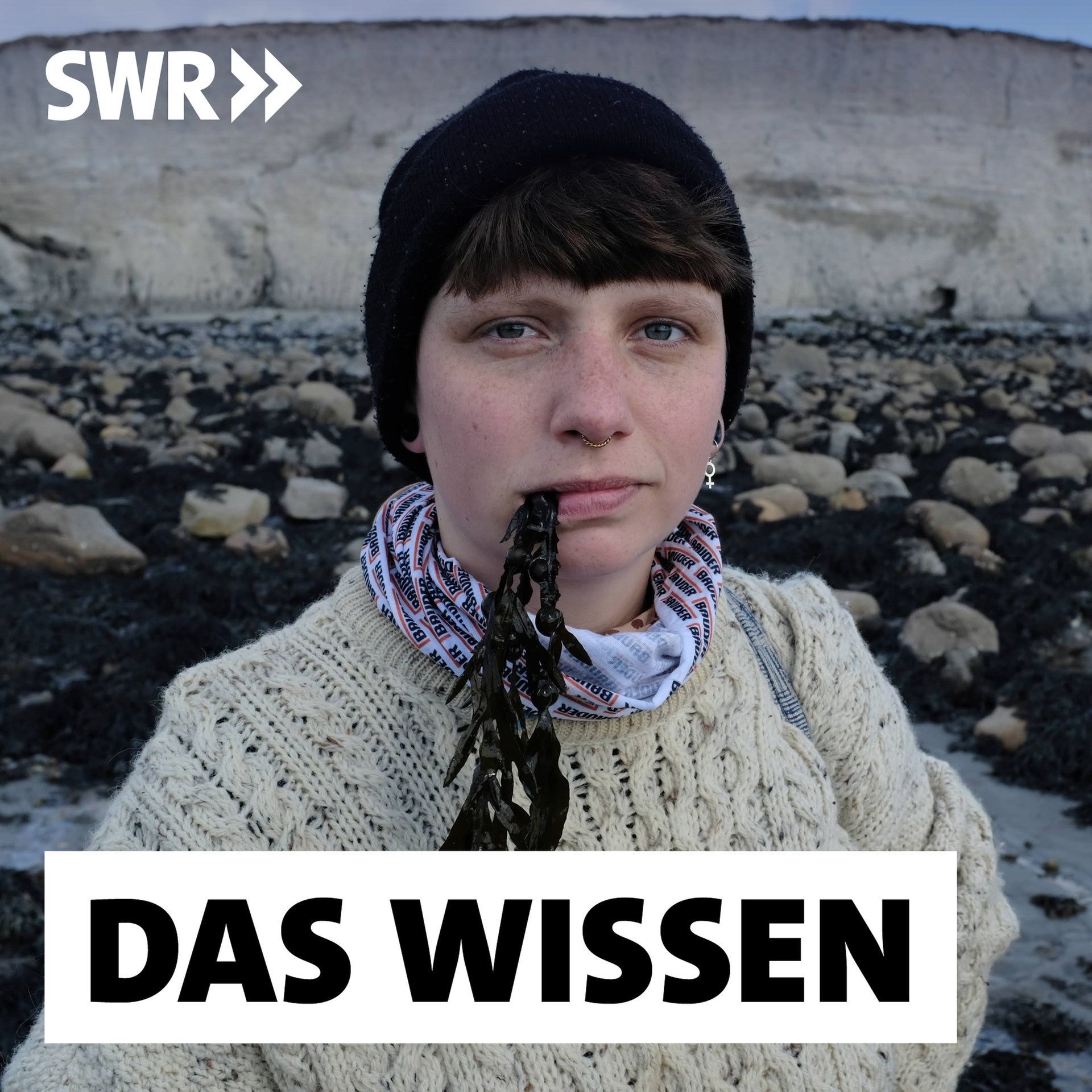 Algen als Superfood und Klimaretter – Irlands Gemüsegärten im Meer
