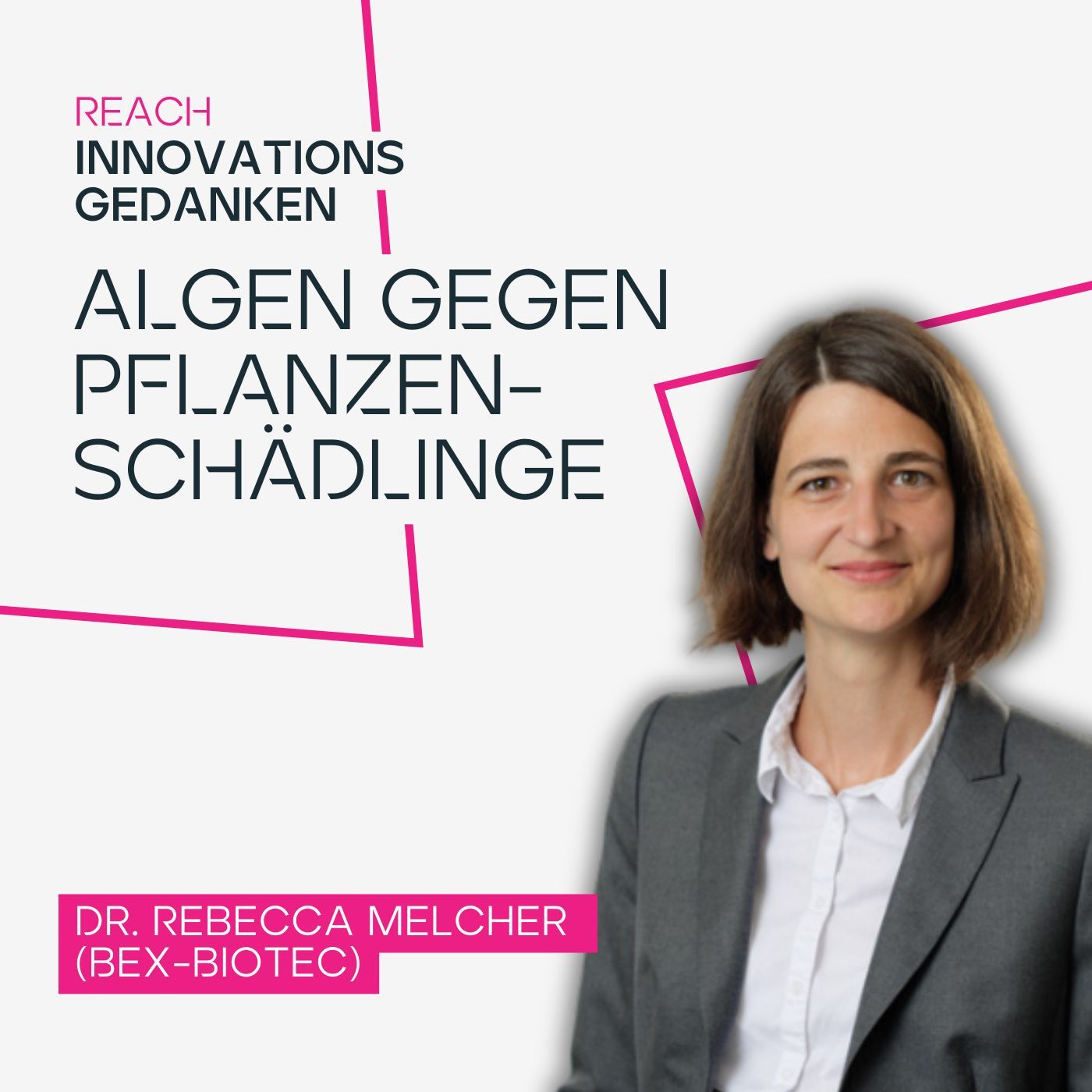 Algen gegen Pflanzenschädlinge