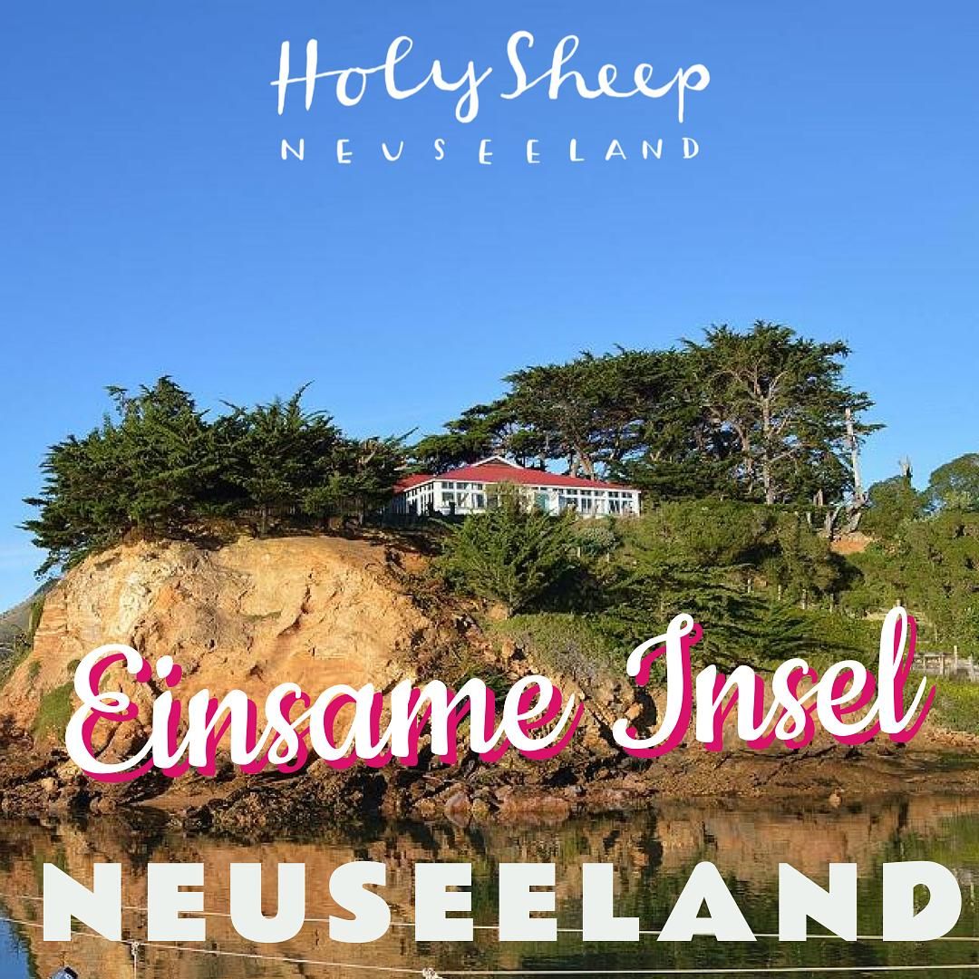 Allein auf einer einsamen Insel für 12 Euro! (Highlights in Dunedin, Neuseeland)