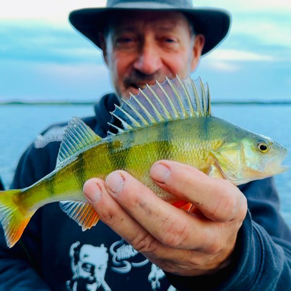 Allroundangeln im Schweriner See mit Heinz Galling | #155