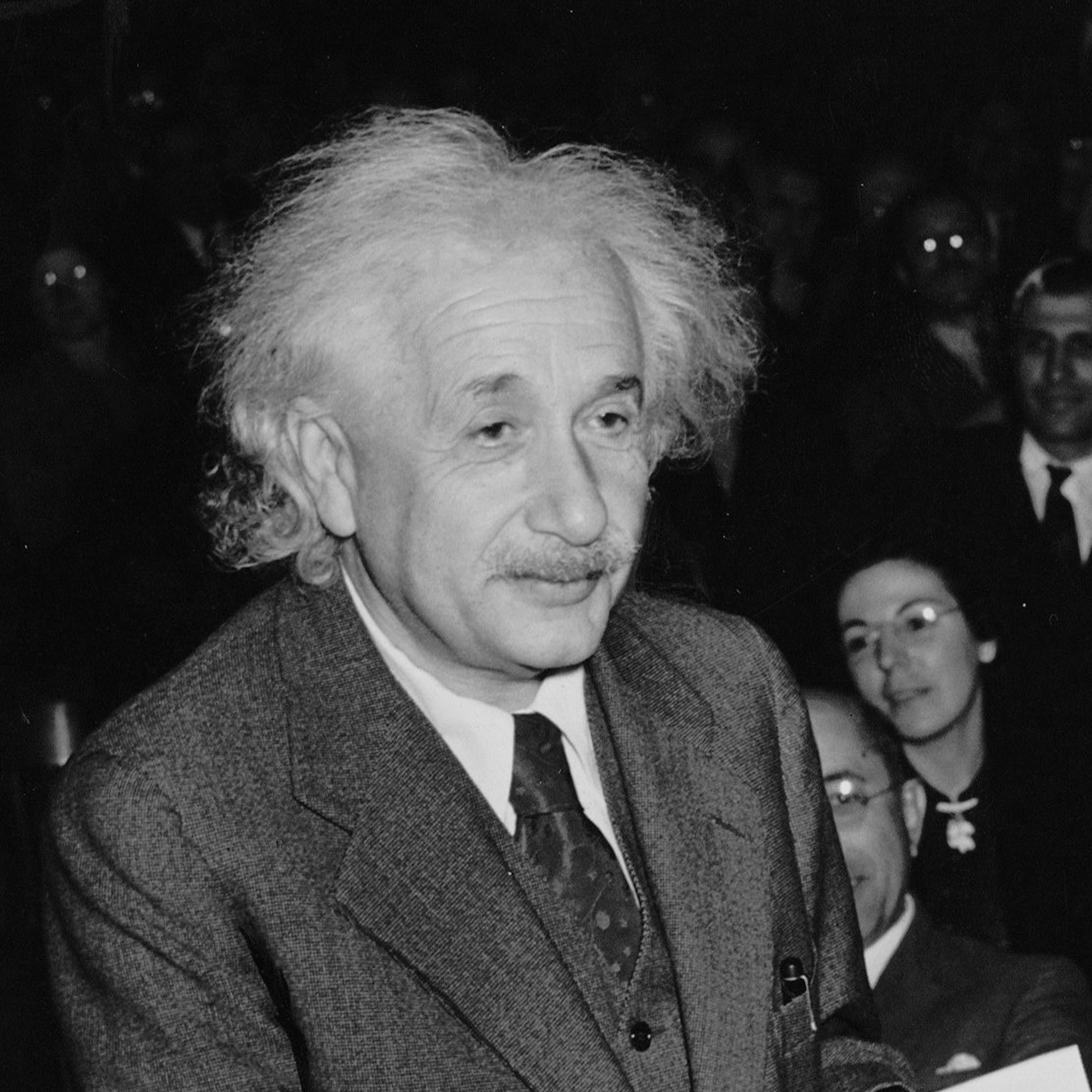 Als Einsteins Gehirn in der Tupperdose landete