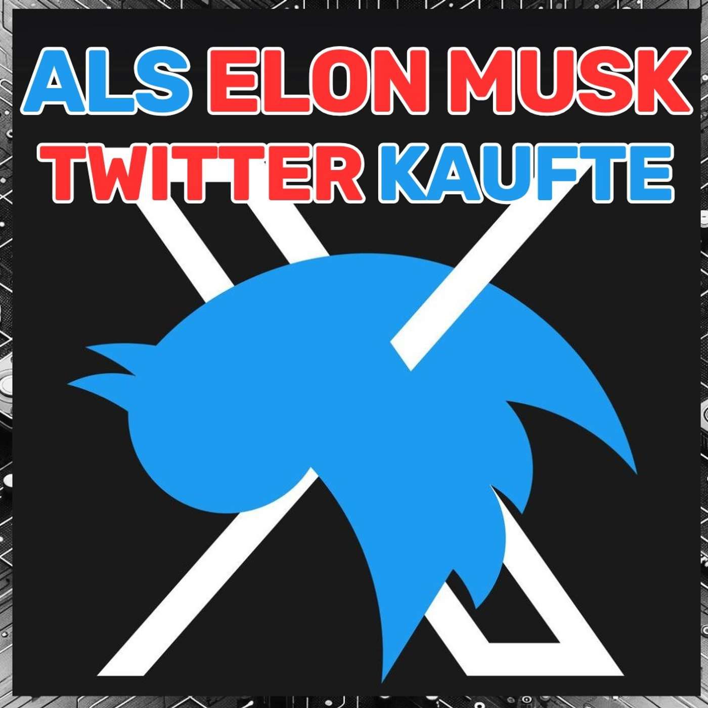 Als Elon Musk Twitter kaufte